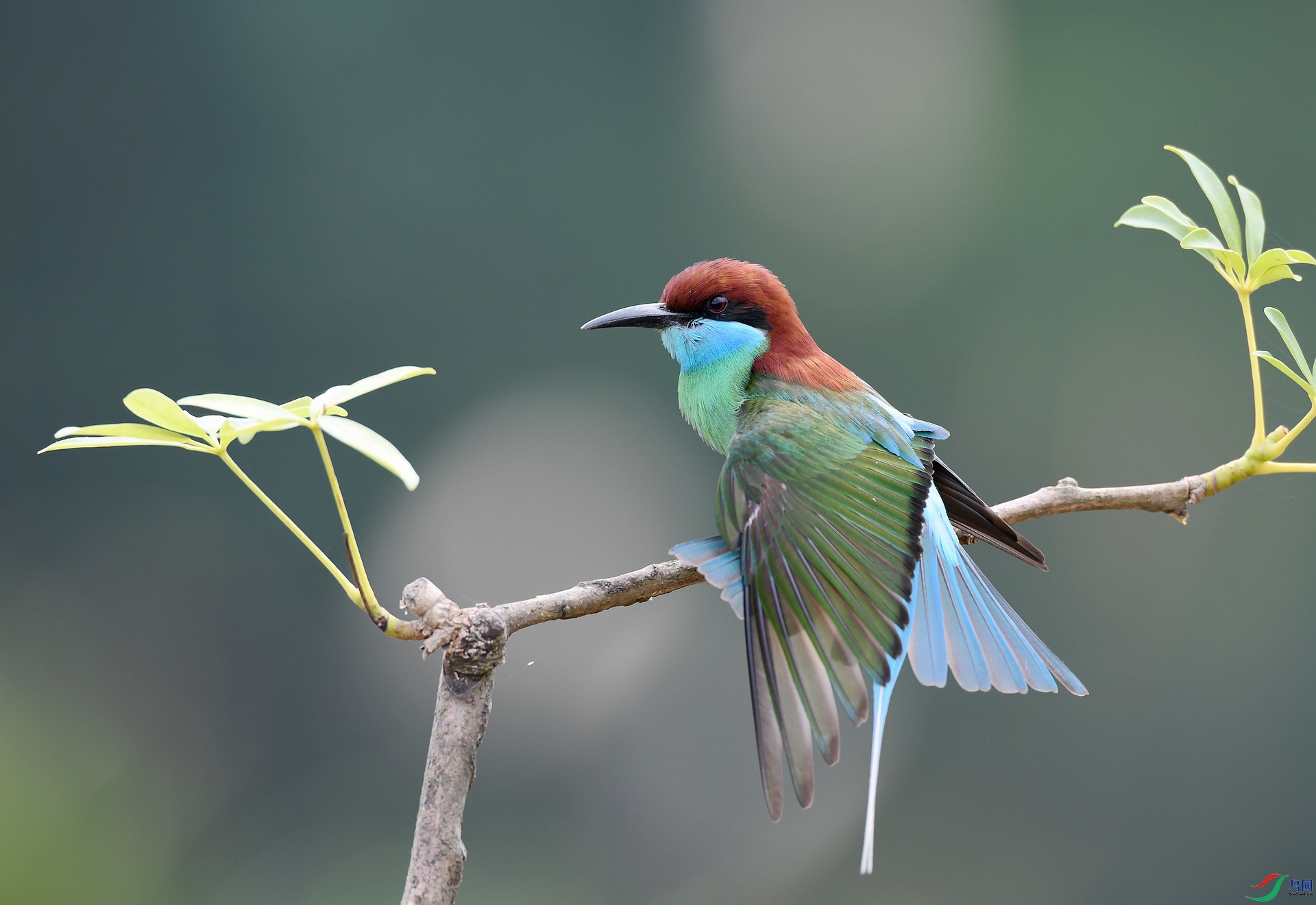 DSC_4016.jpg
