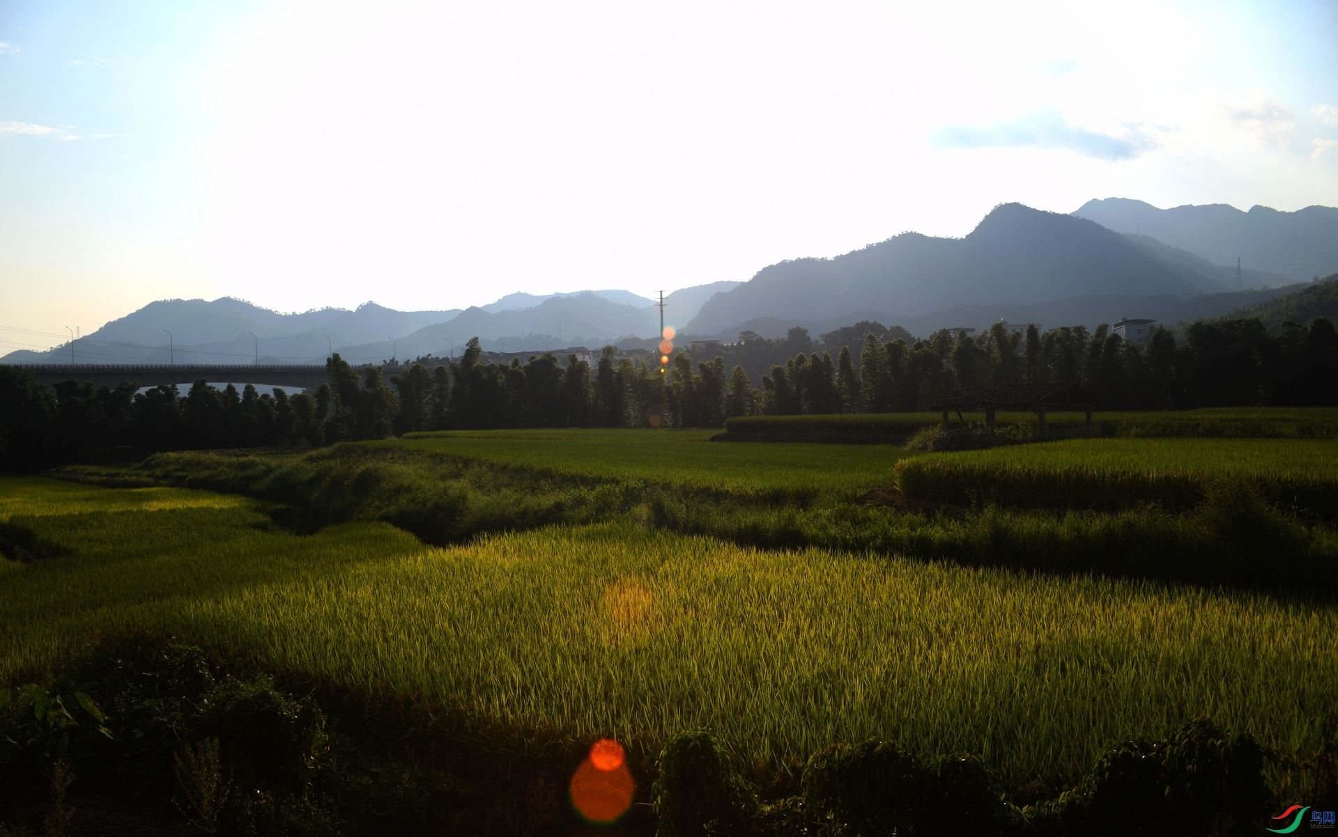 DSC_0251.jpg