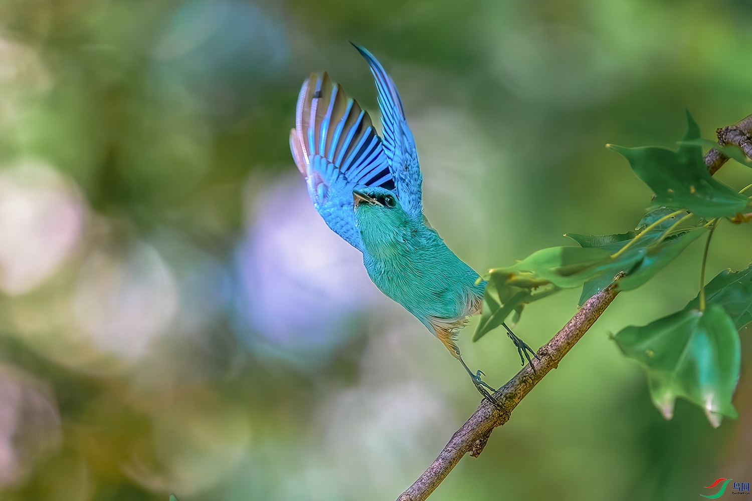 DSC_5743b.jpg