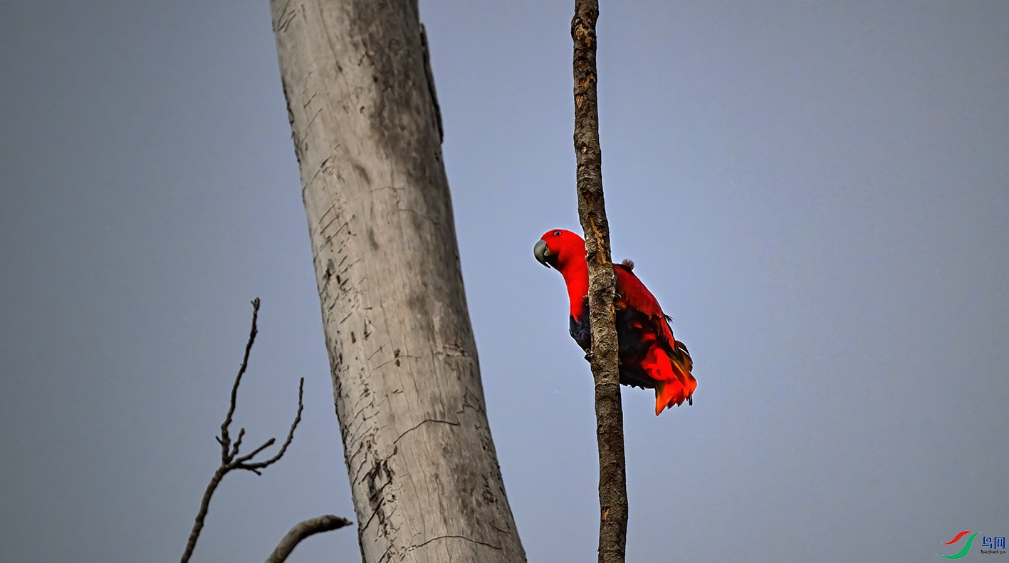 DSC_2183-2.jpg
