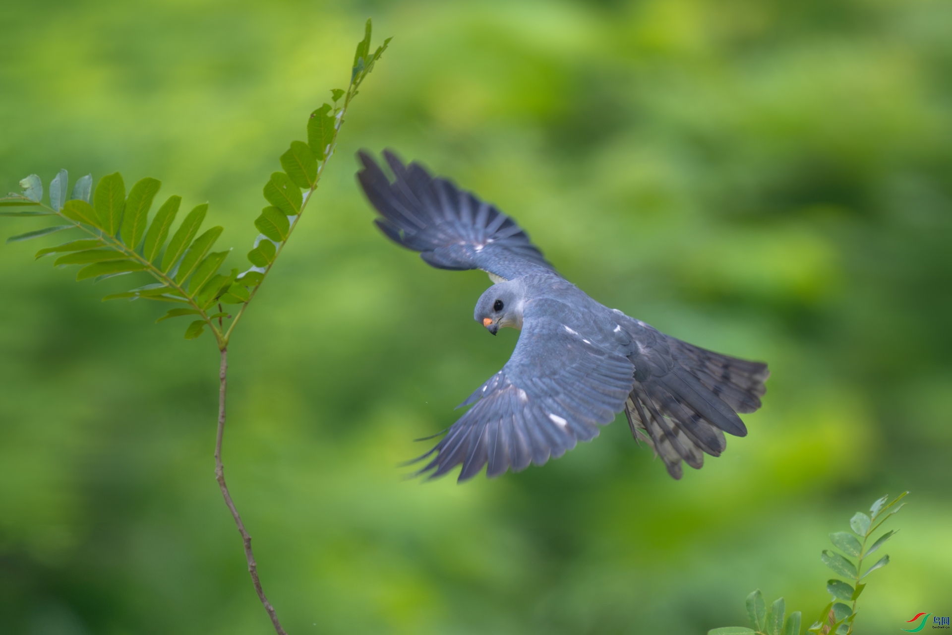 _DSC7092xx.jpg