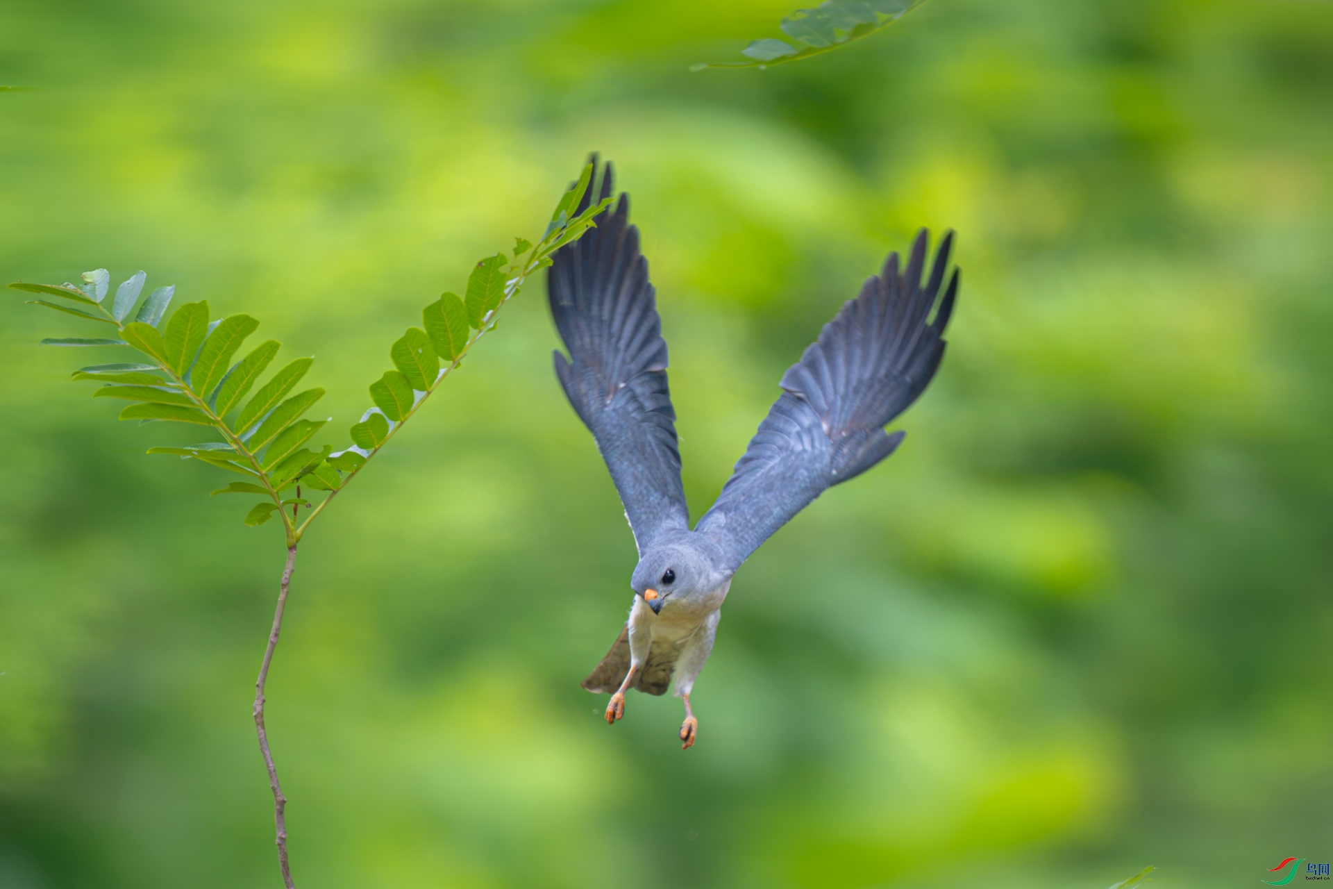 _DSC7096xx.jpg