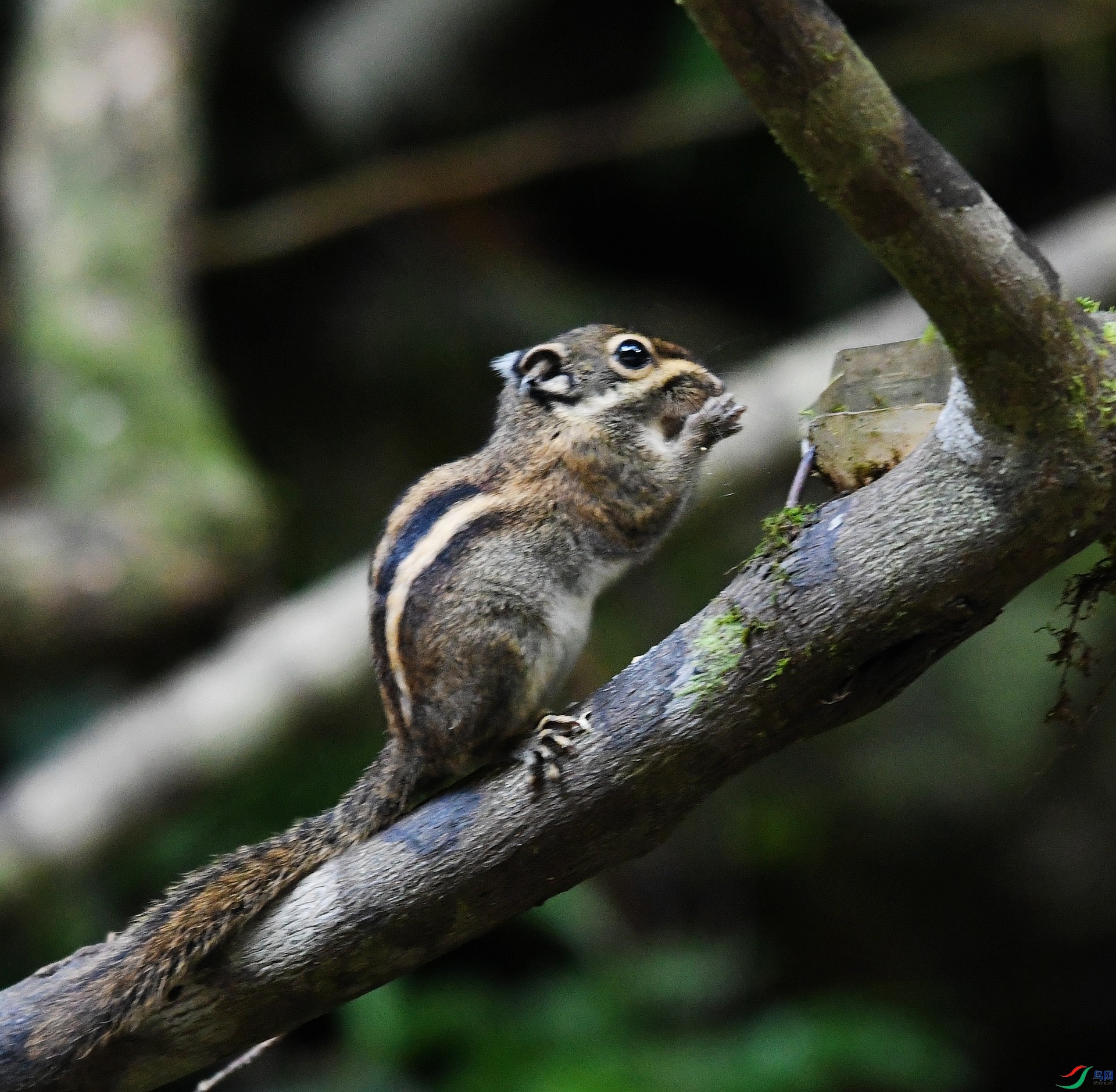 DSC_2332.jpg
