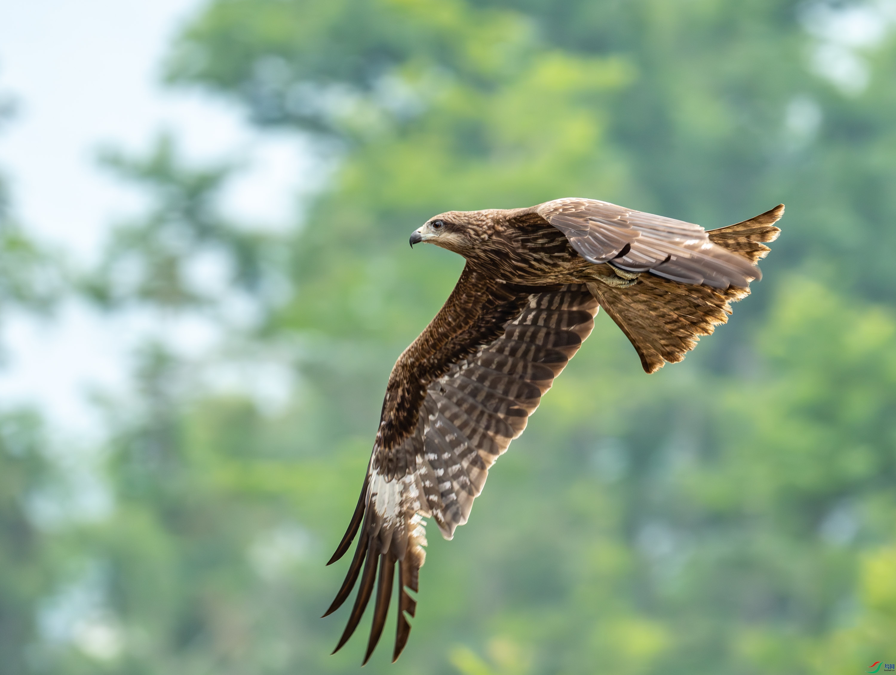 ��� (81 - 253).jpg
