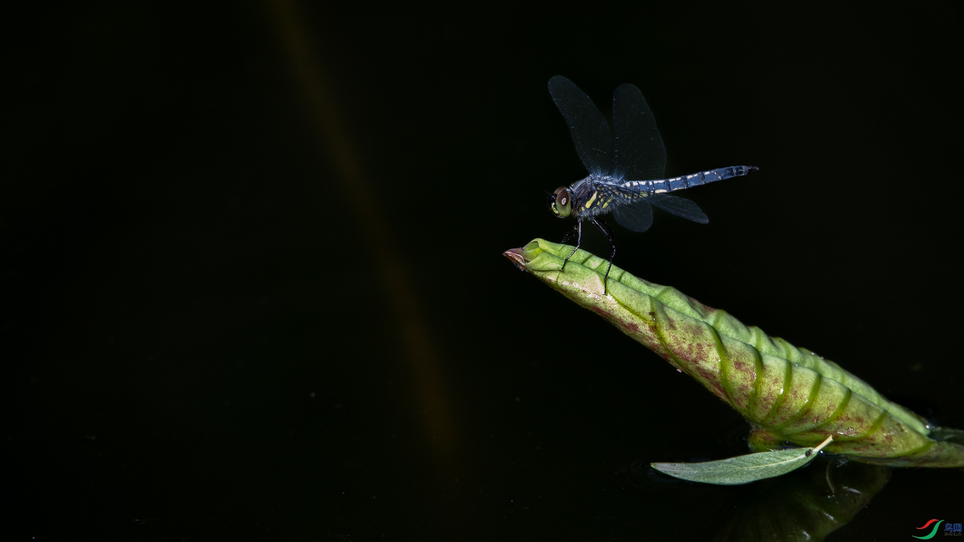9O2A0045.jpg