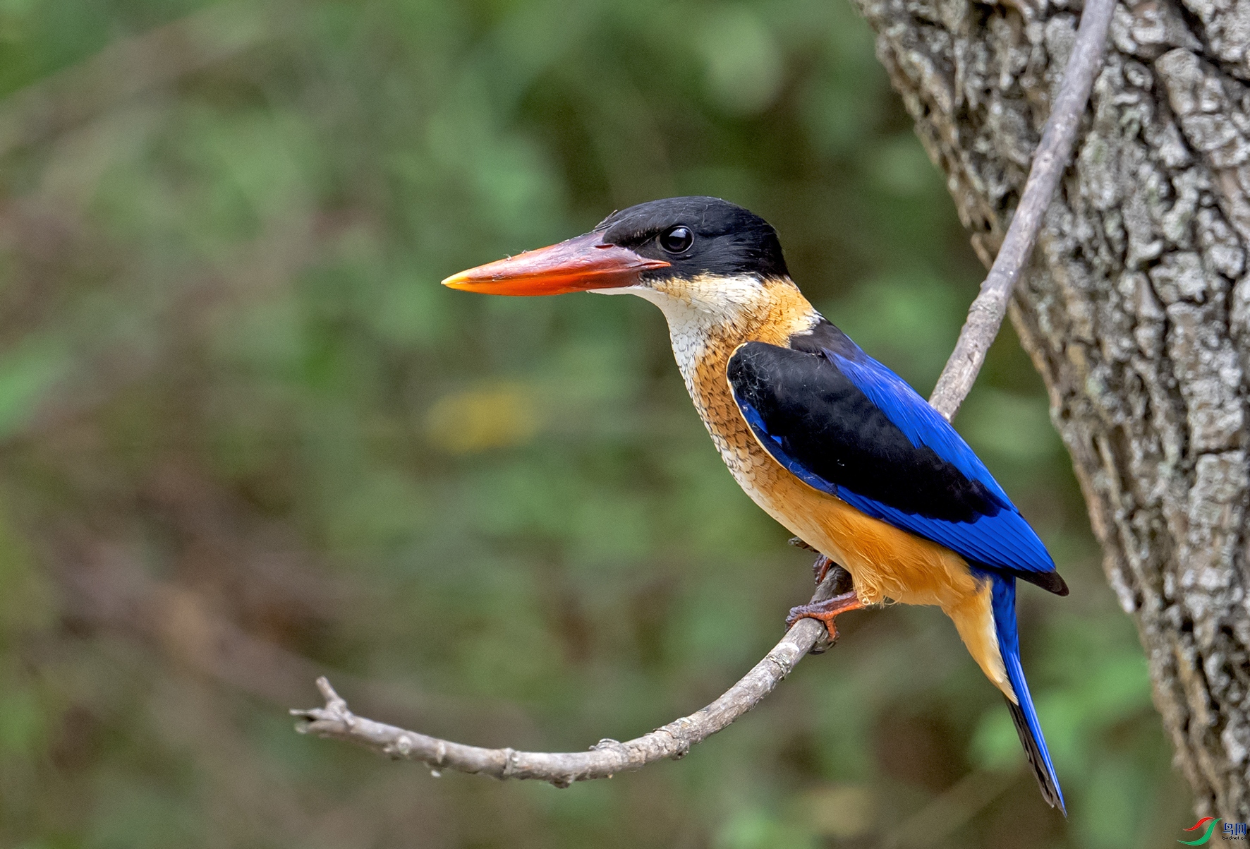 _DSC7369.jpg
