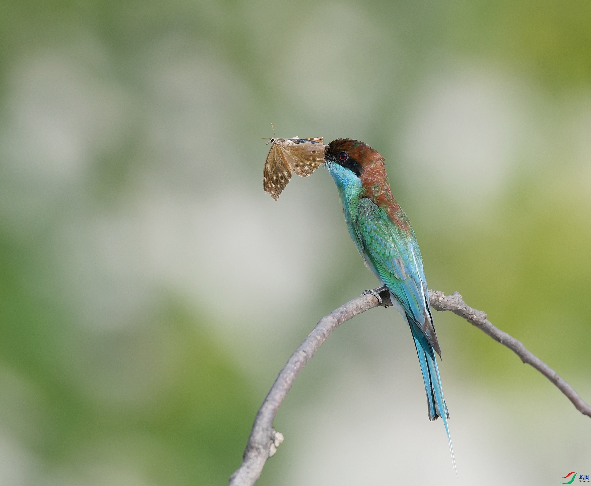 DSC_4687.jpg