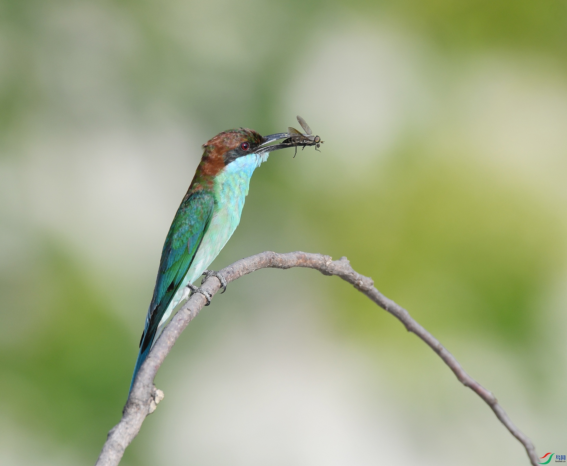 DSC_4628.jpg
