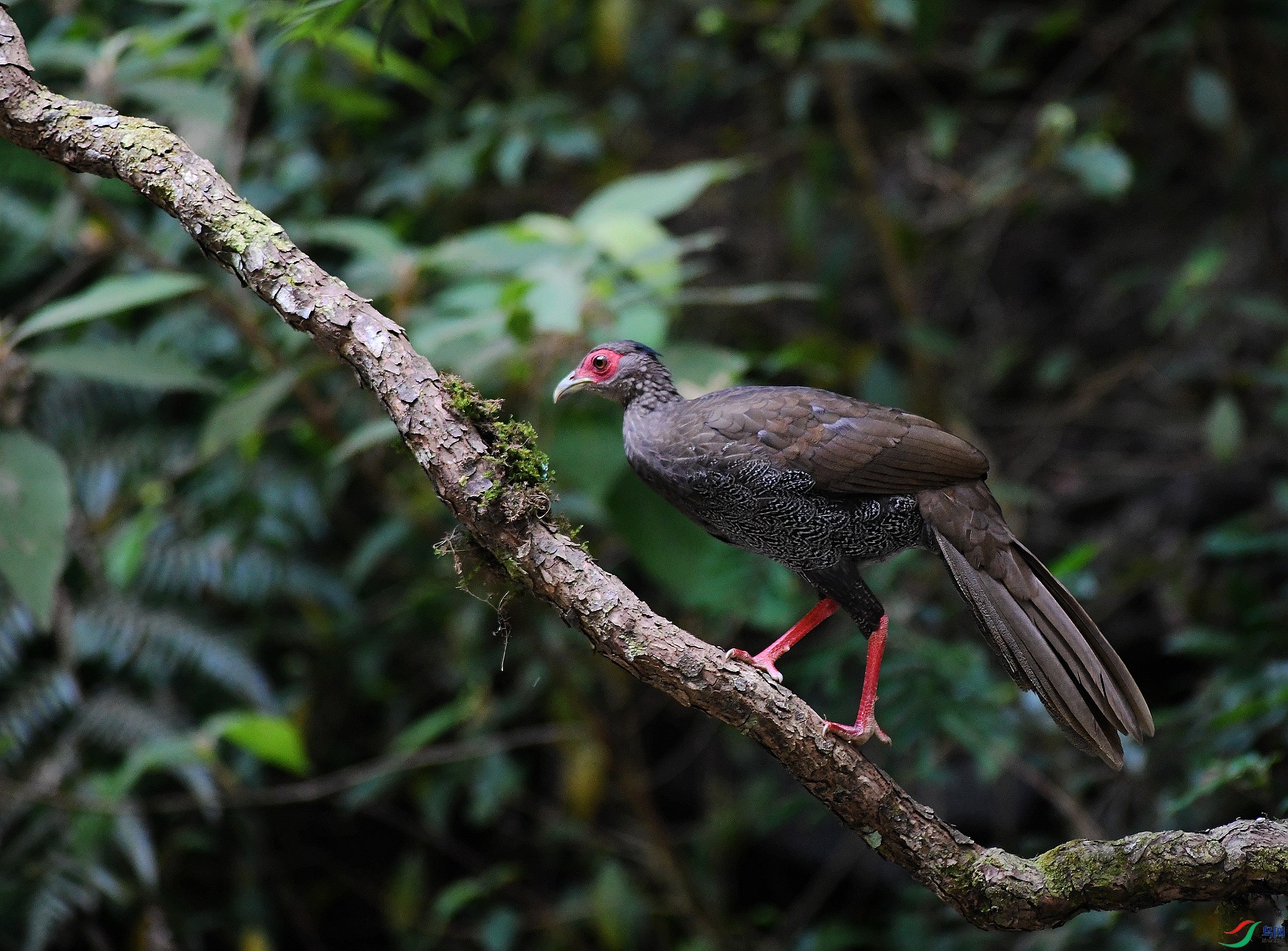 DSC_1103.jpg
