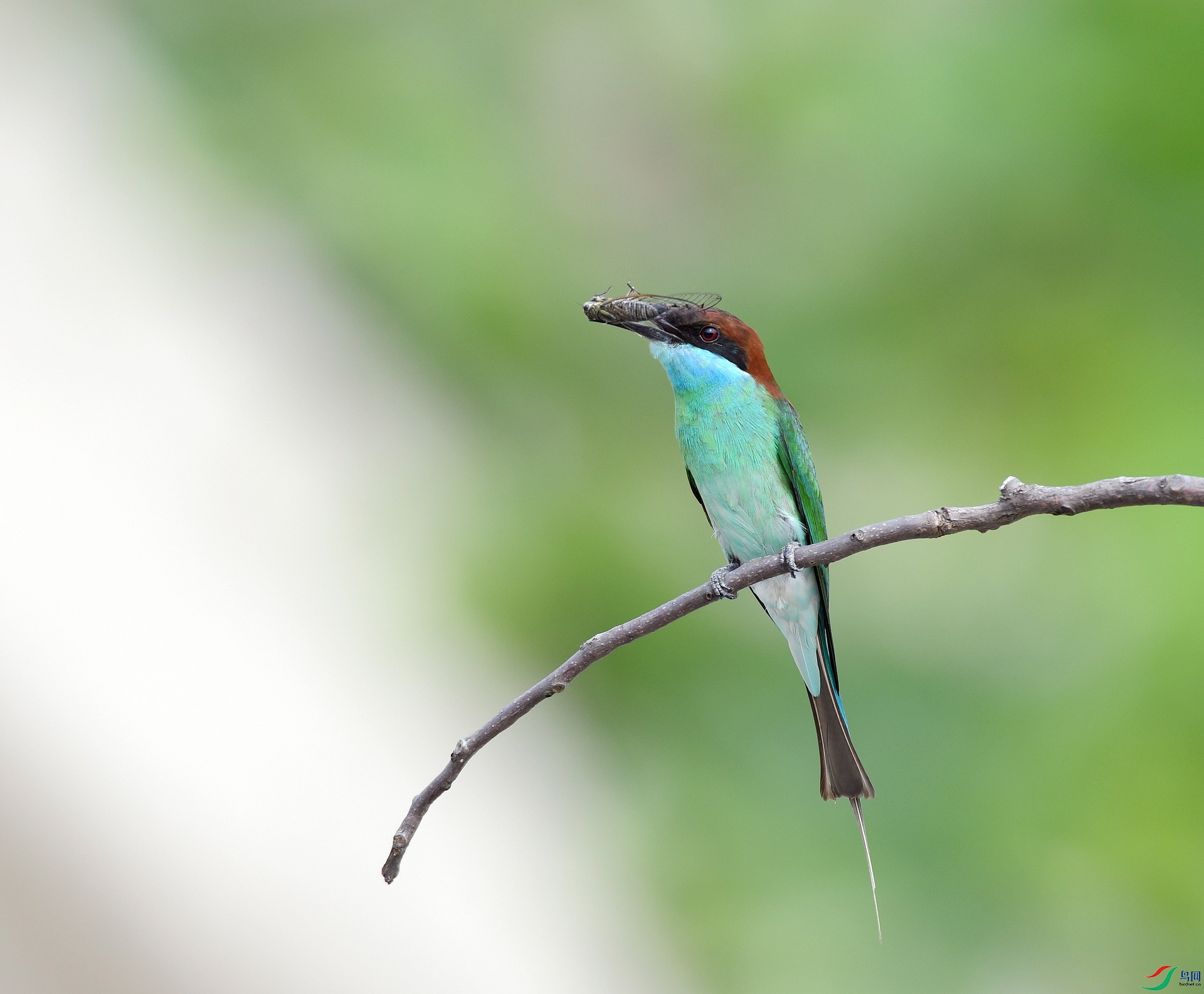 DSC_0977.jpg