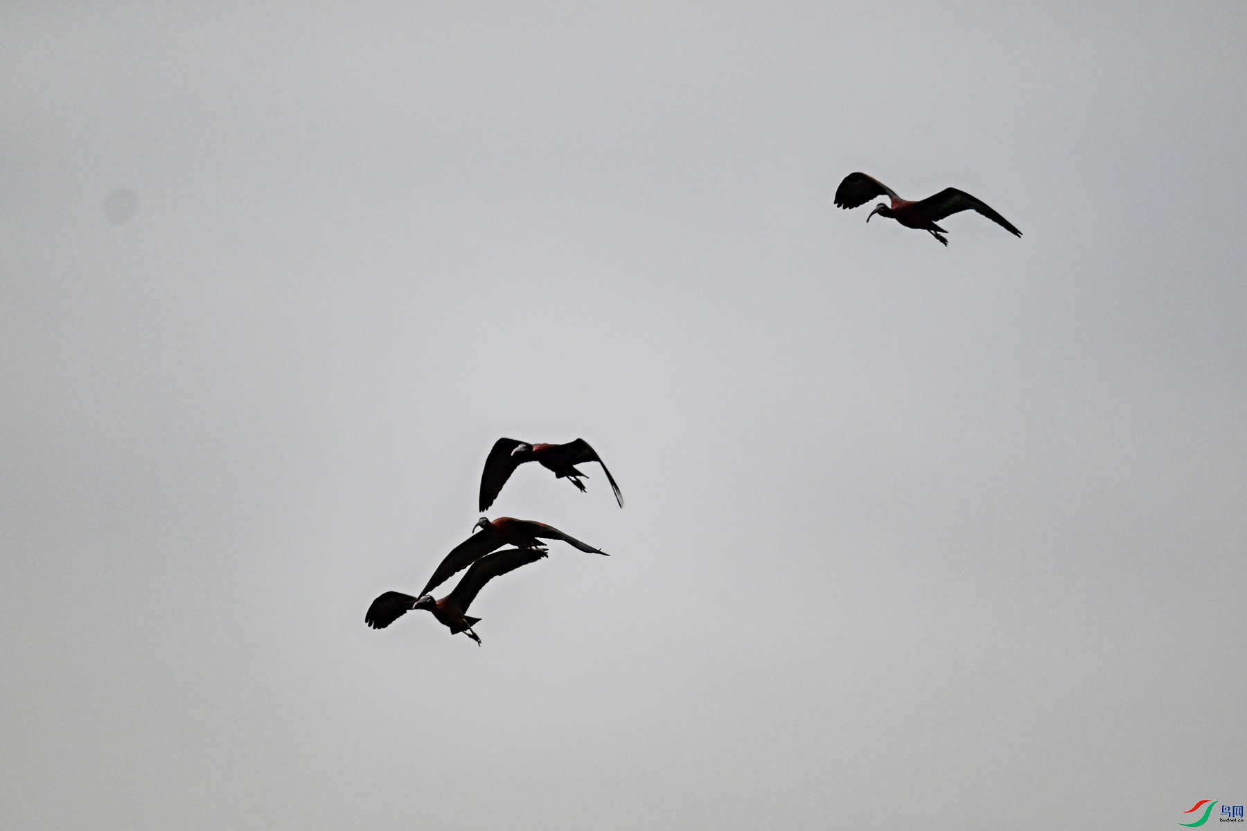 DSC_7591.JPG