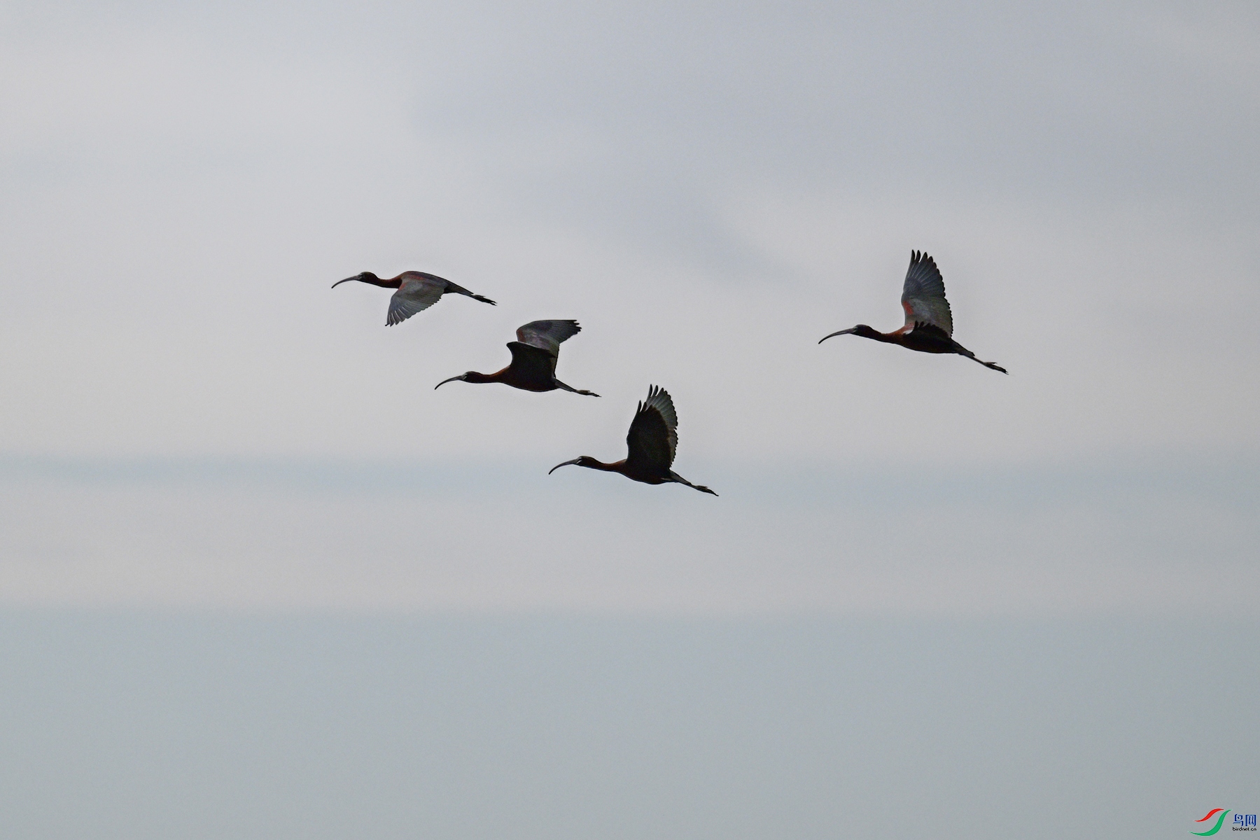 DSC_7580.JPG