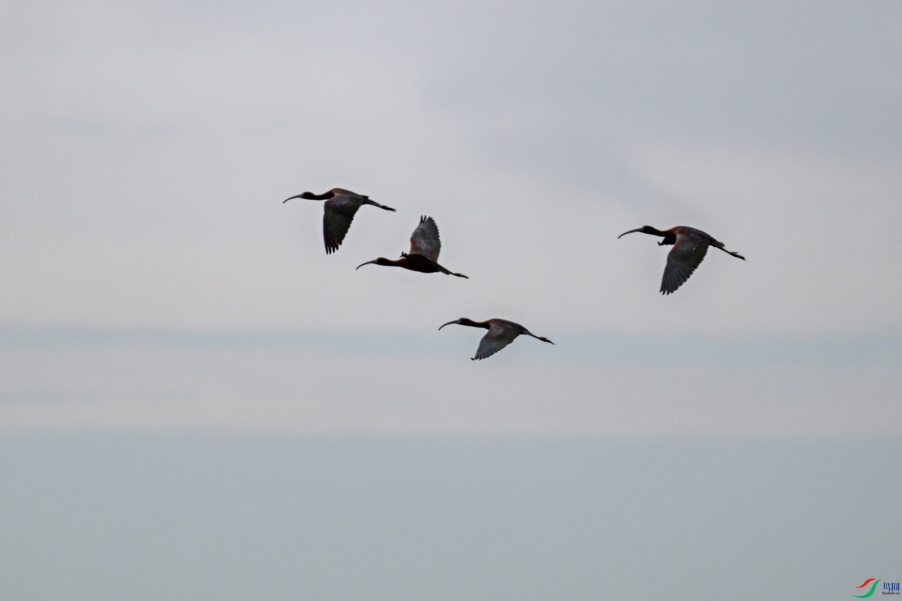 DSC_7581.JPG