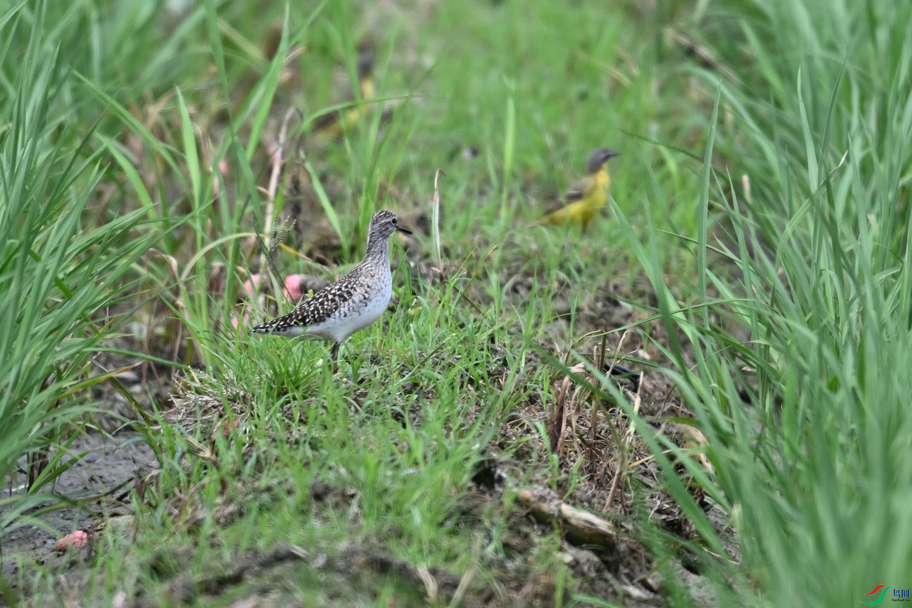 DSC_7627.JPG
