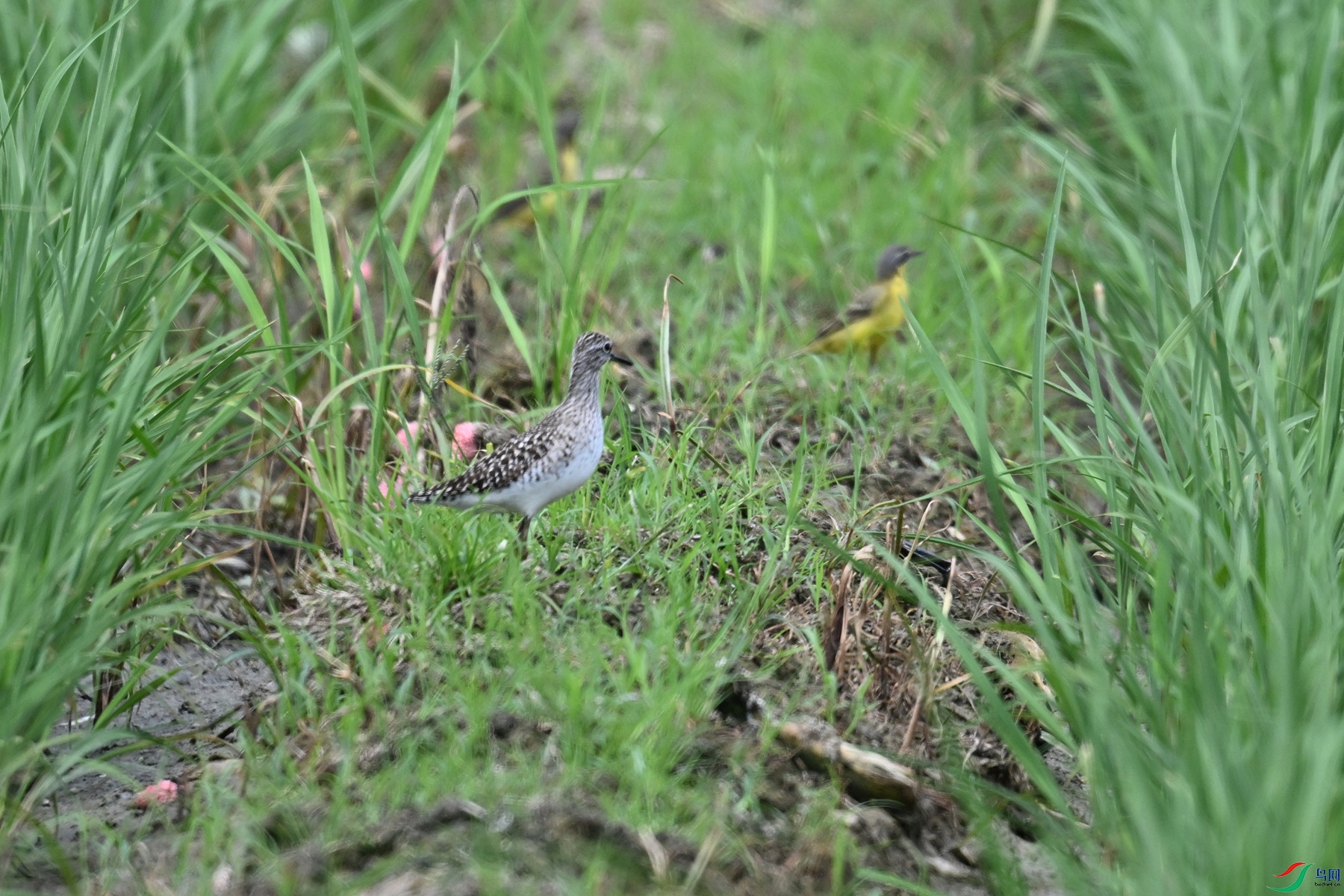 DSC_7628.JPG