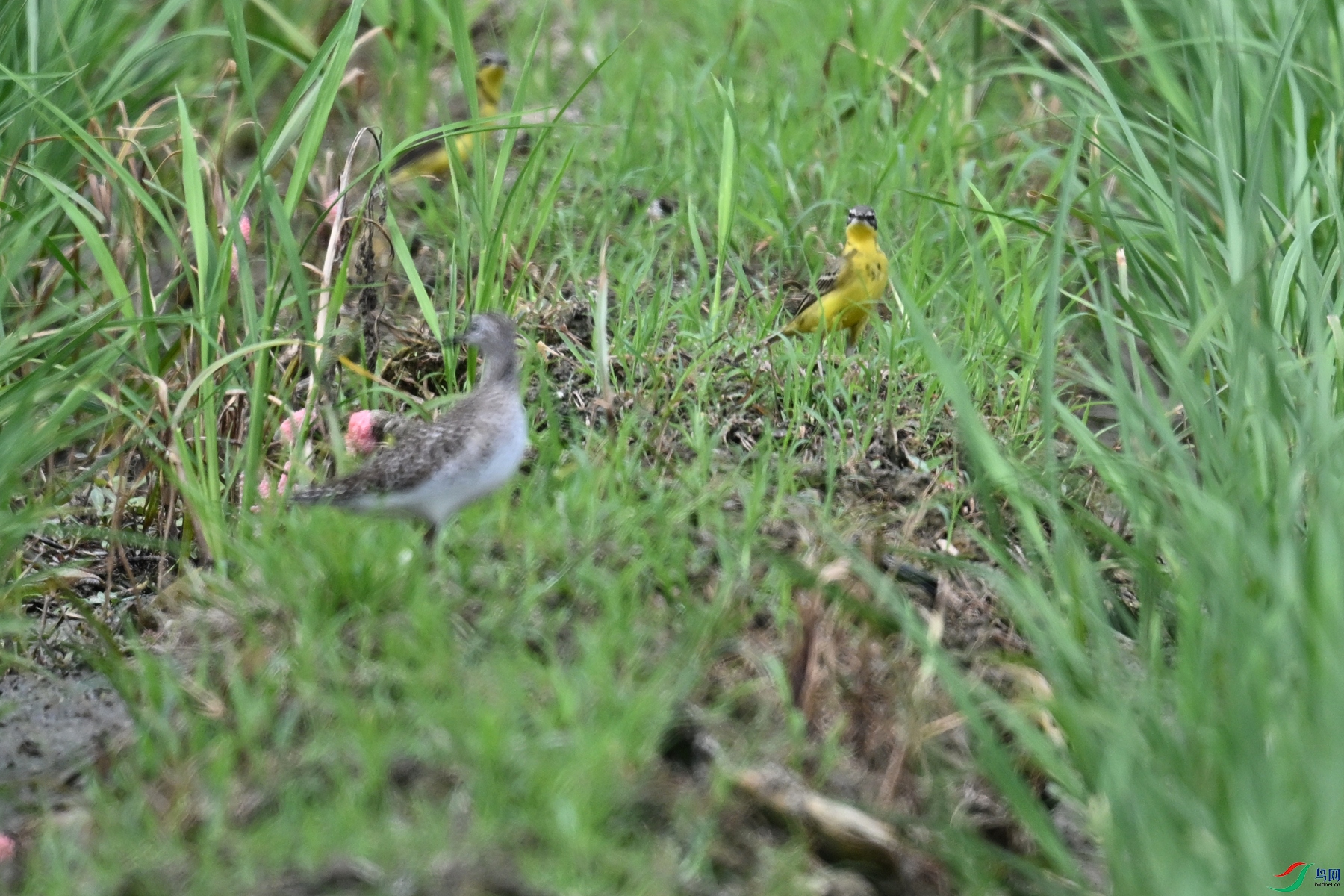 DSC_7629.JPG