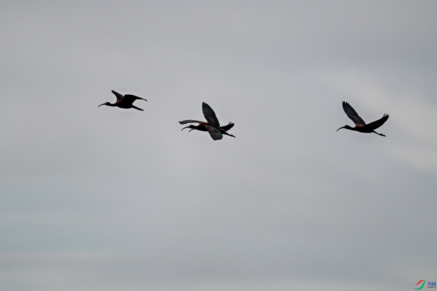 DSC_7583.JPG