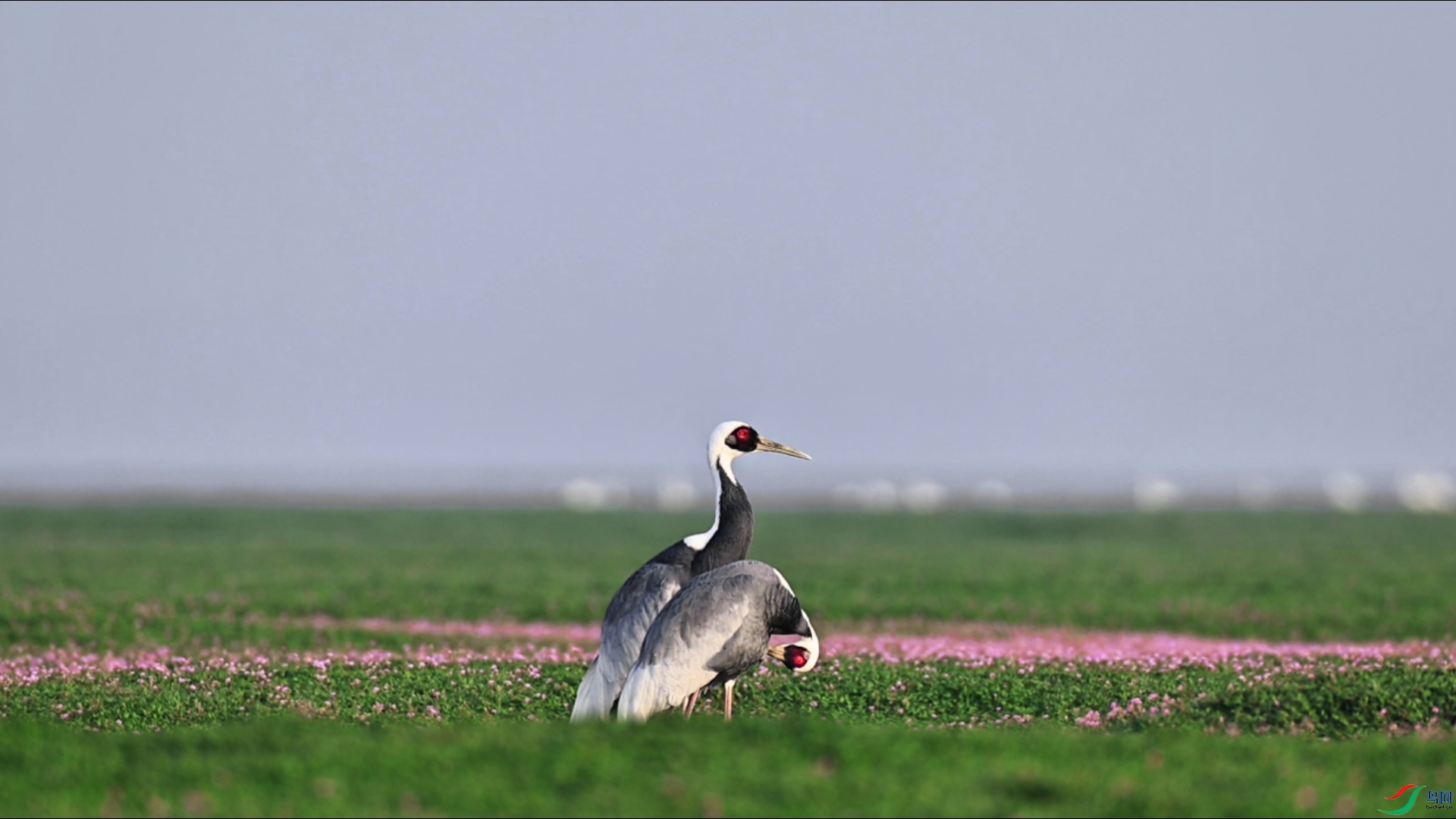 ������.jpg