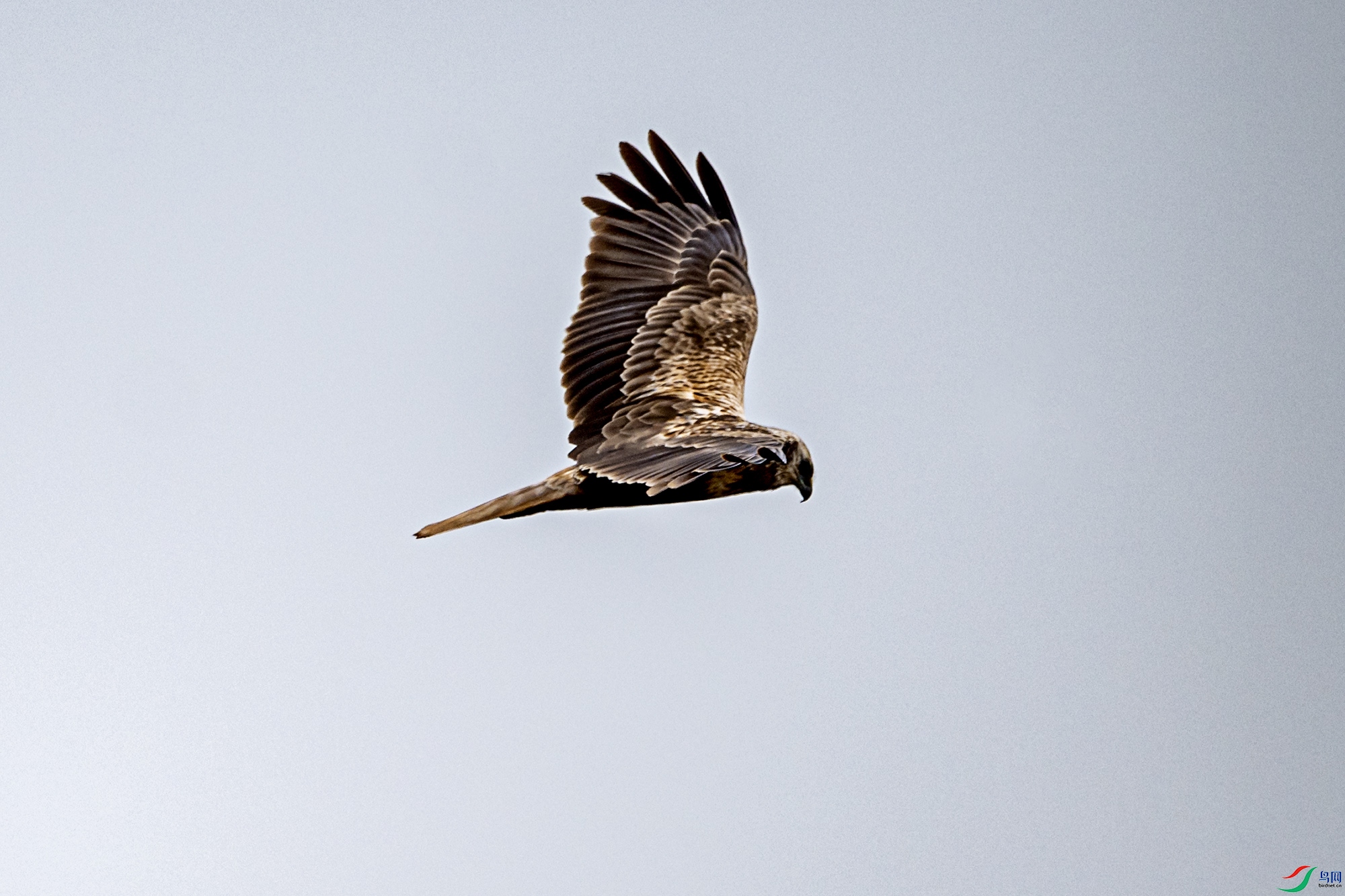 DSC_9859.jpg