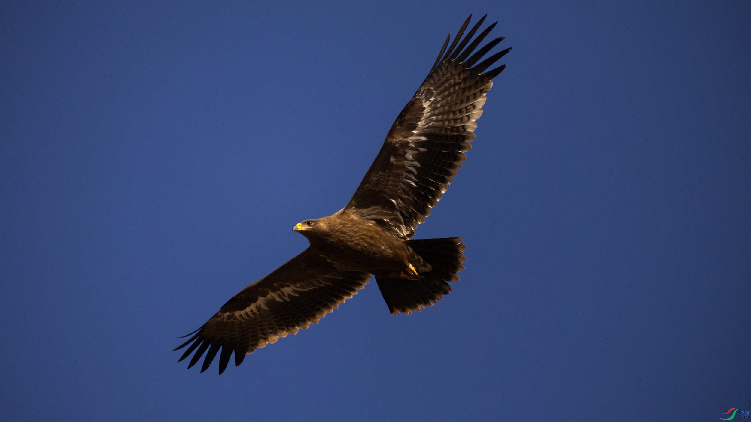 7X5A7004 444.jpg