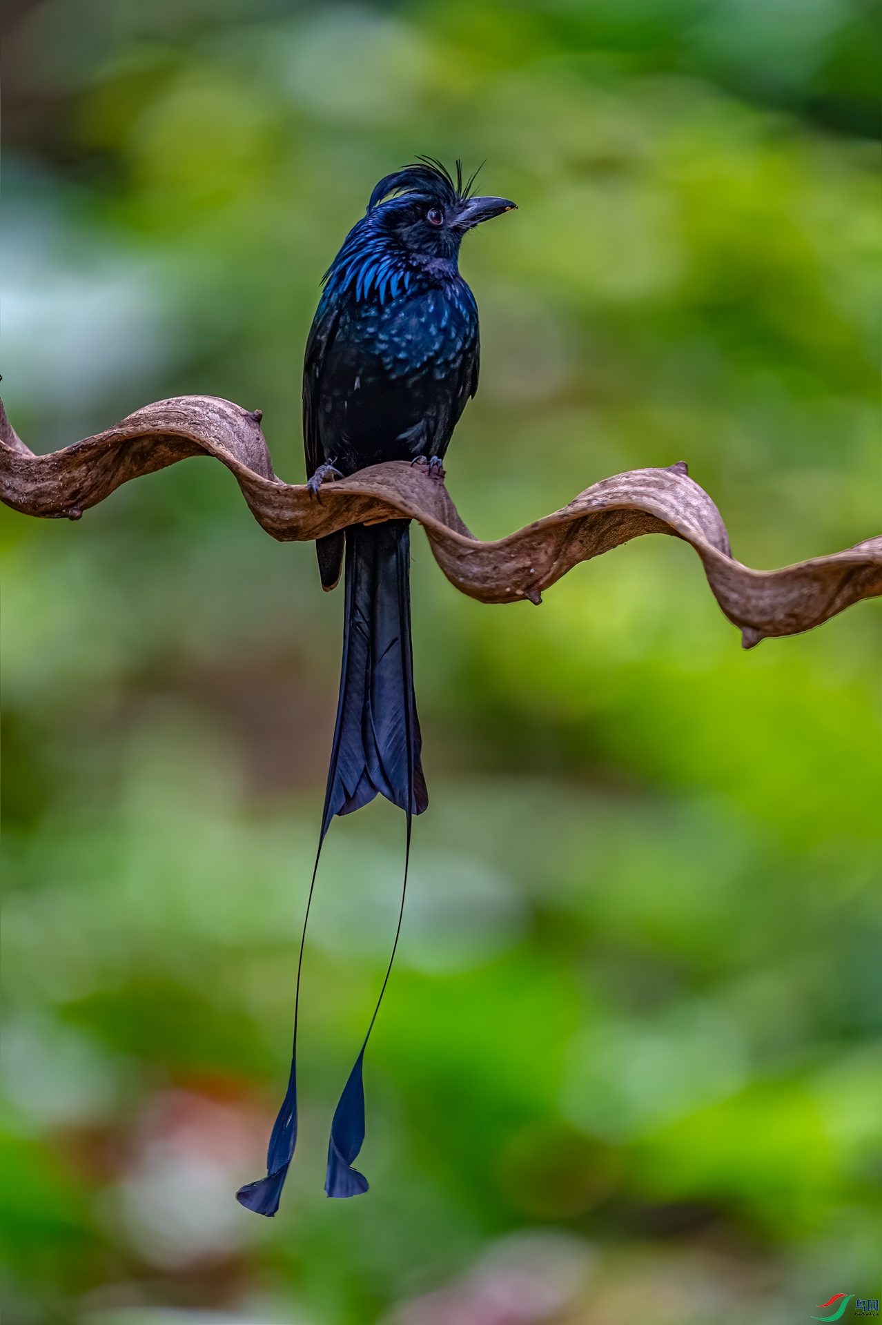 _DSC9046-11.jpg