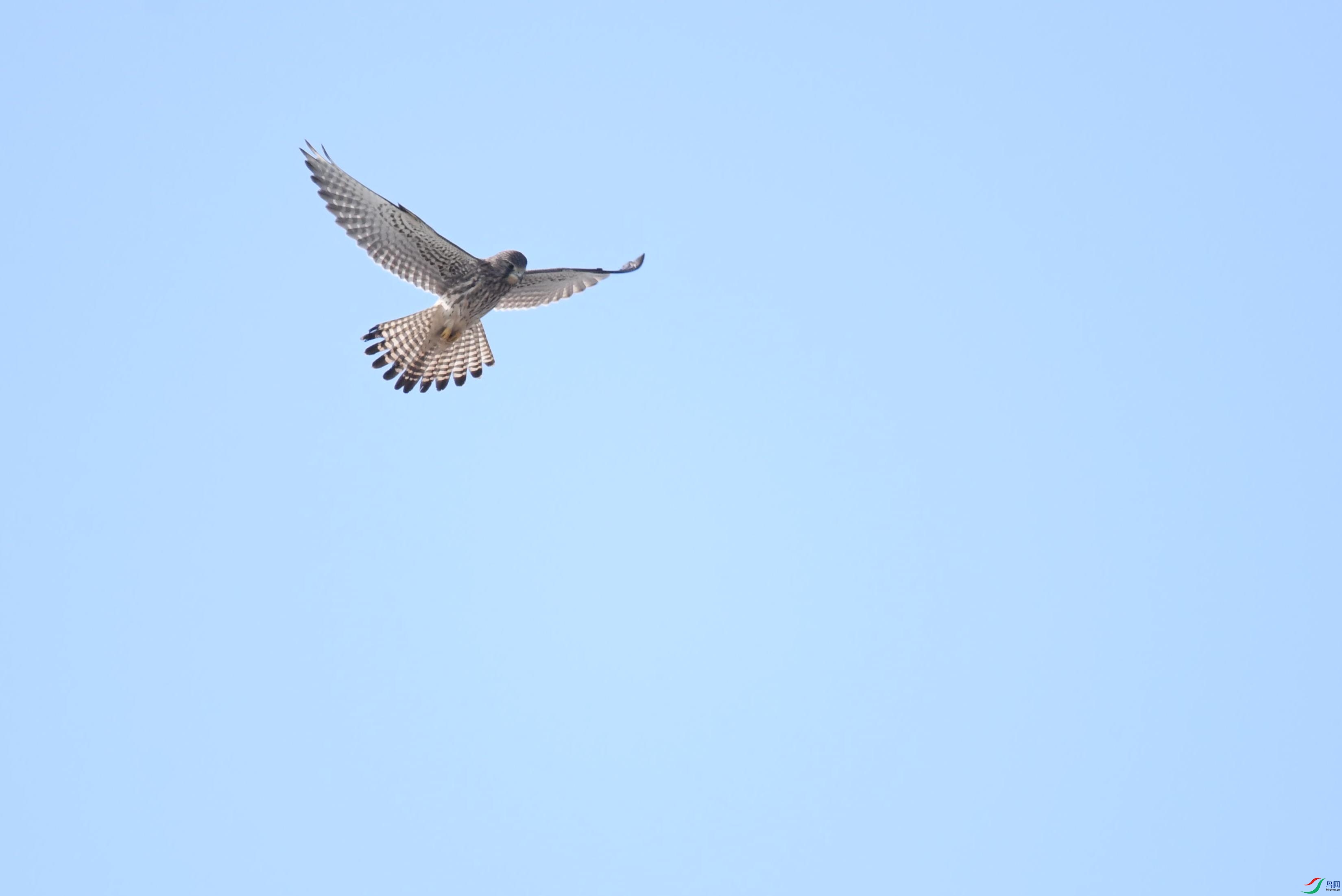 DSC_5089(1).jpg