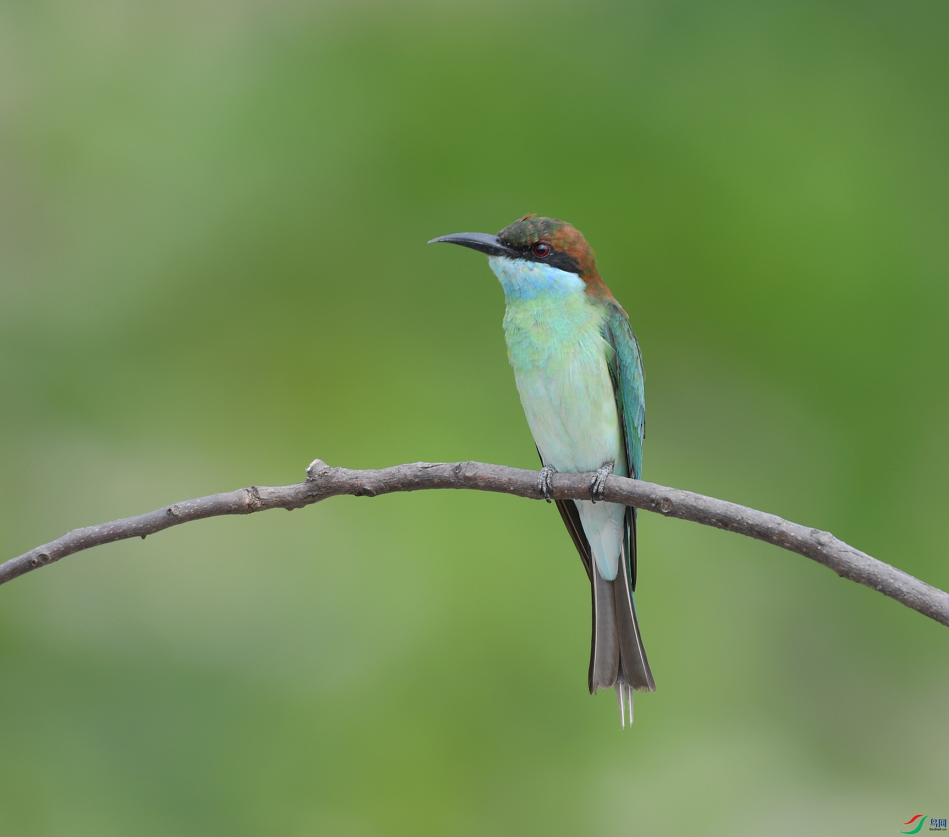 DSC_0997.jpg