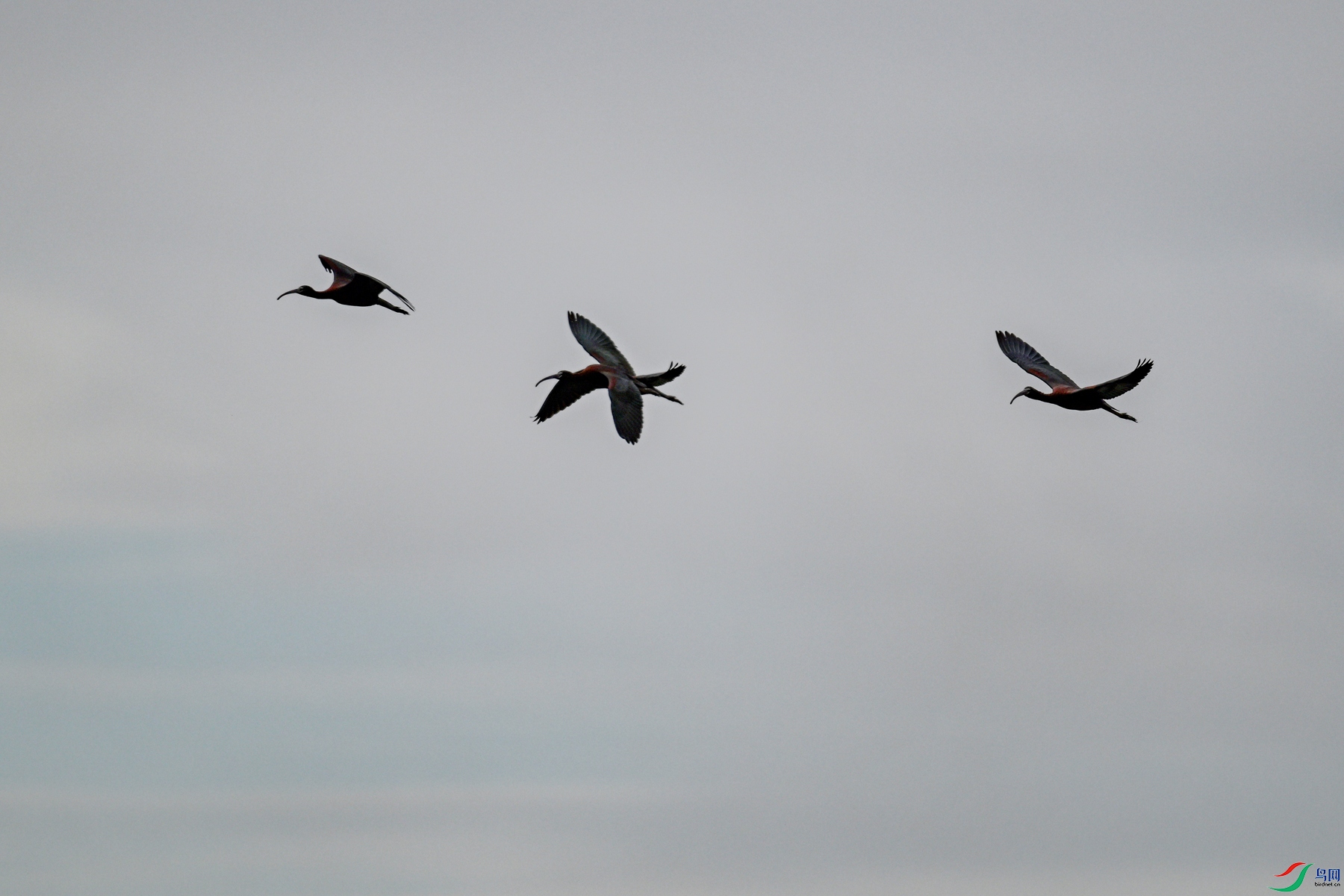 DSC_7587.JPG