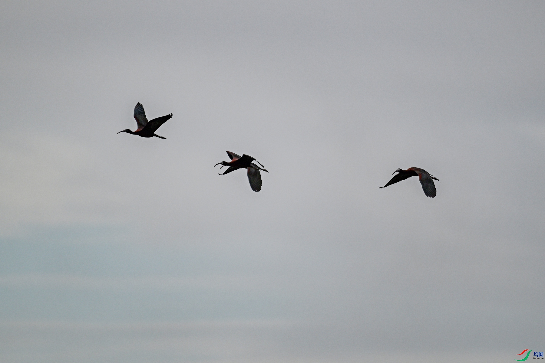DSC_7588.JPG