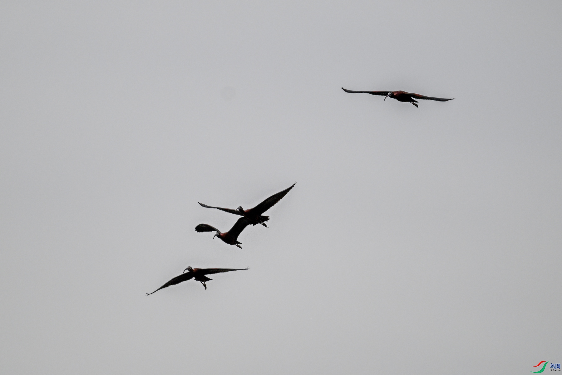 DSC_7589.JPG