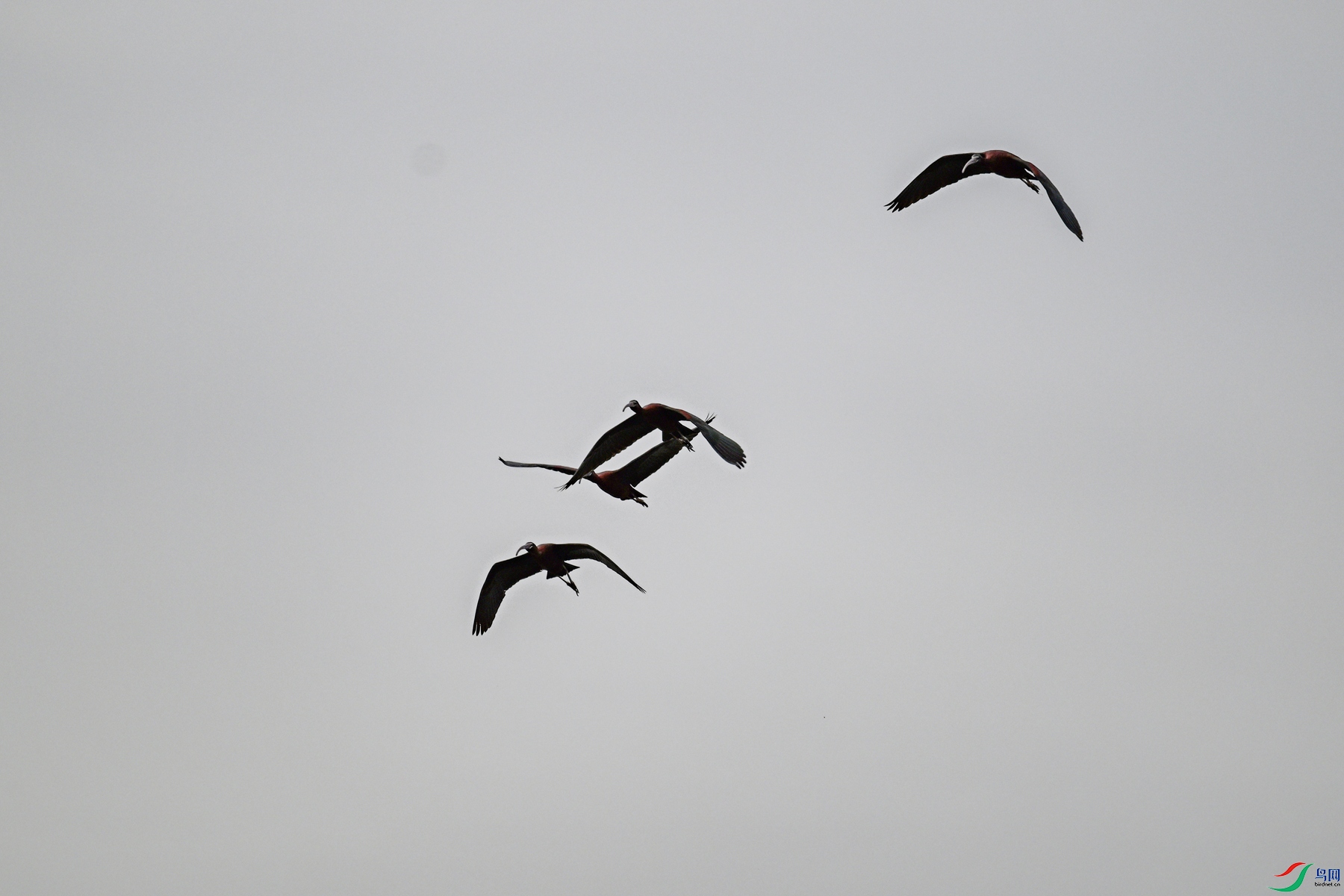 DSC_7590.JPG