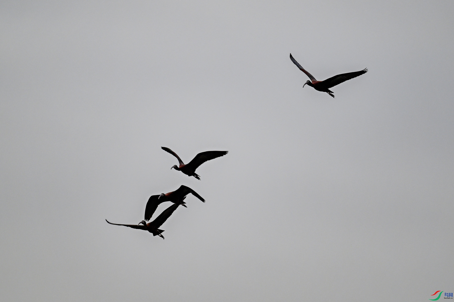 DSC_7592.JPG