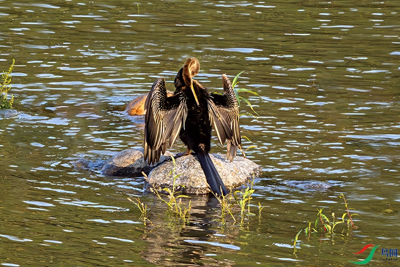 DSC_8015.jpg