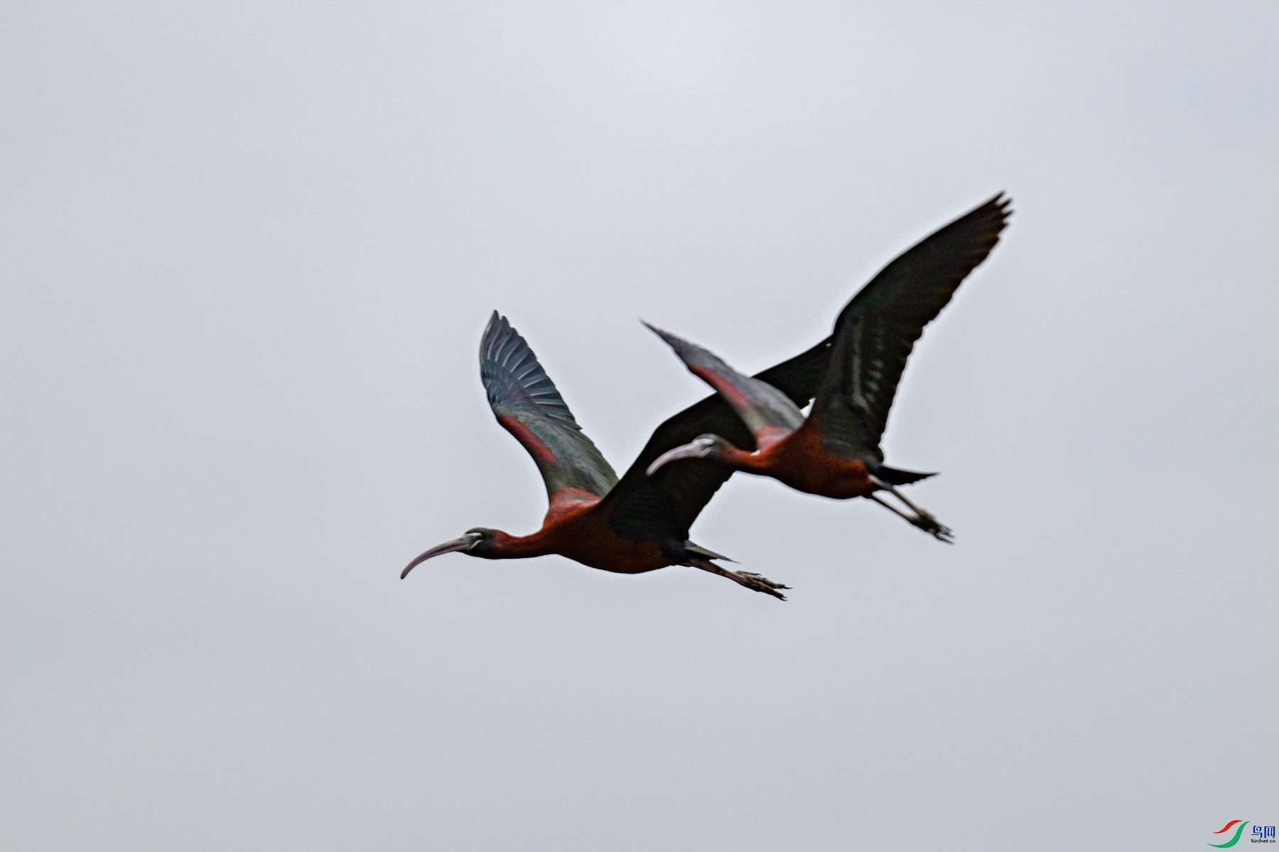 DSC_7615.JPG