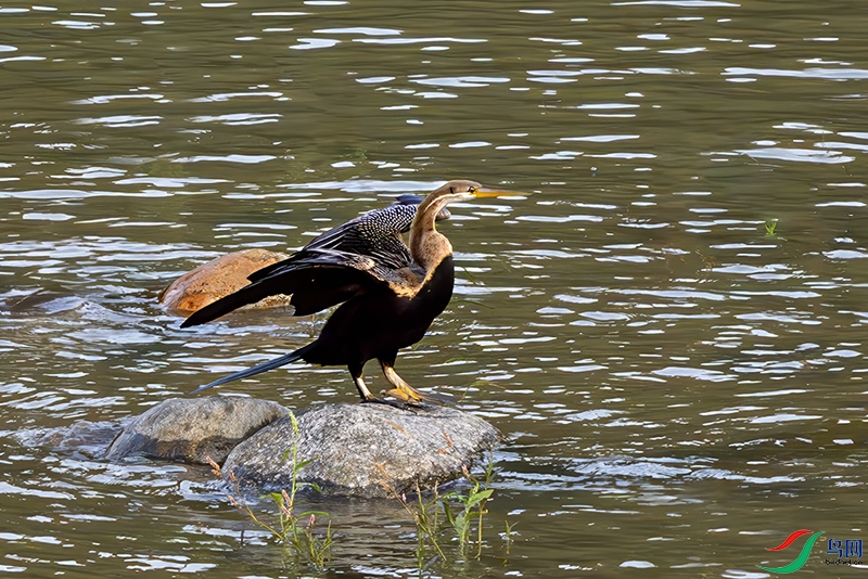 DSC_8402.jpg