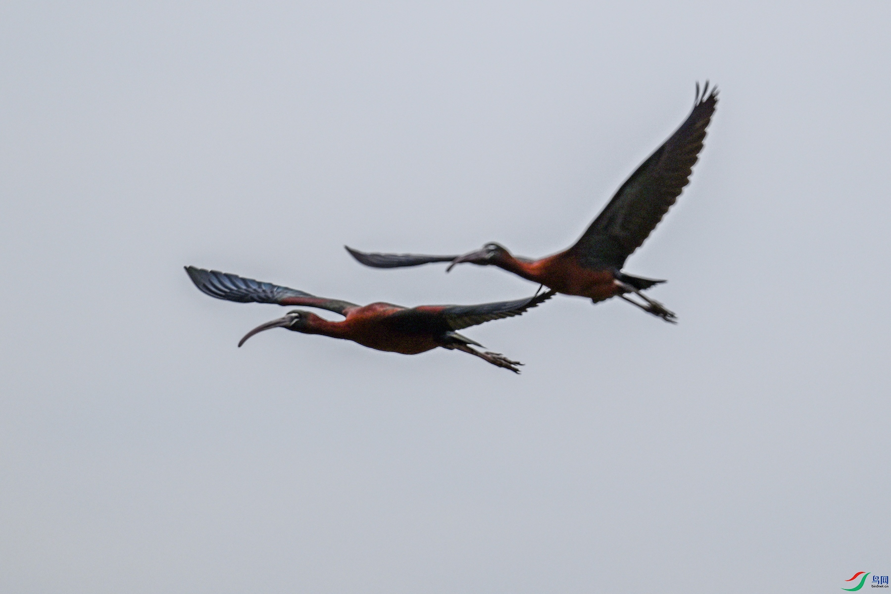 DSC_7616.JPG