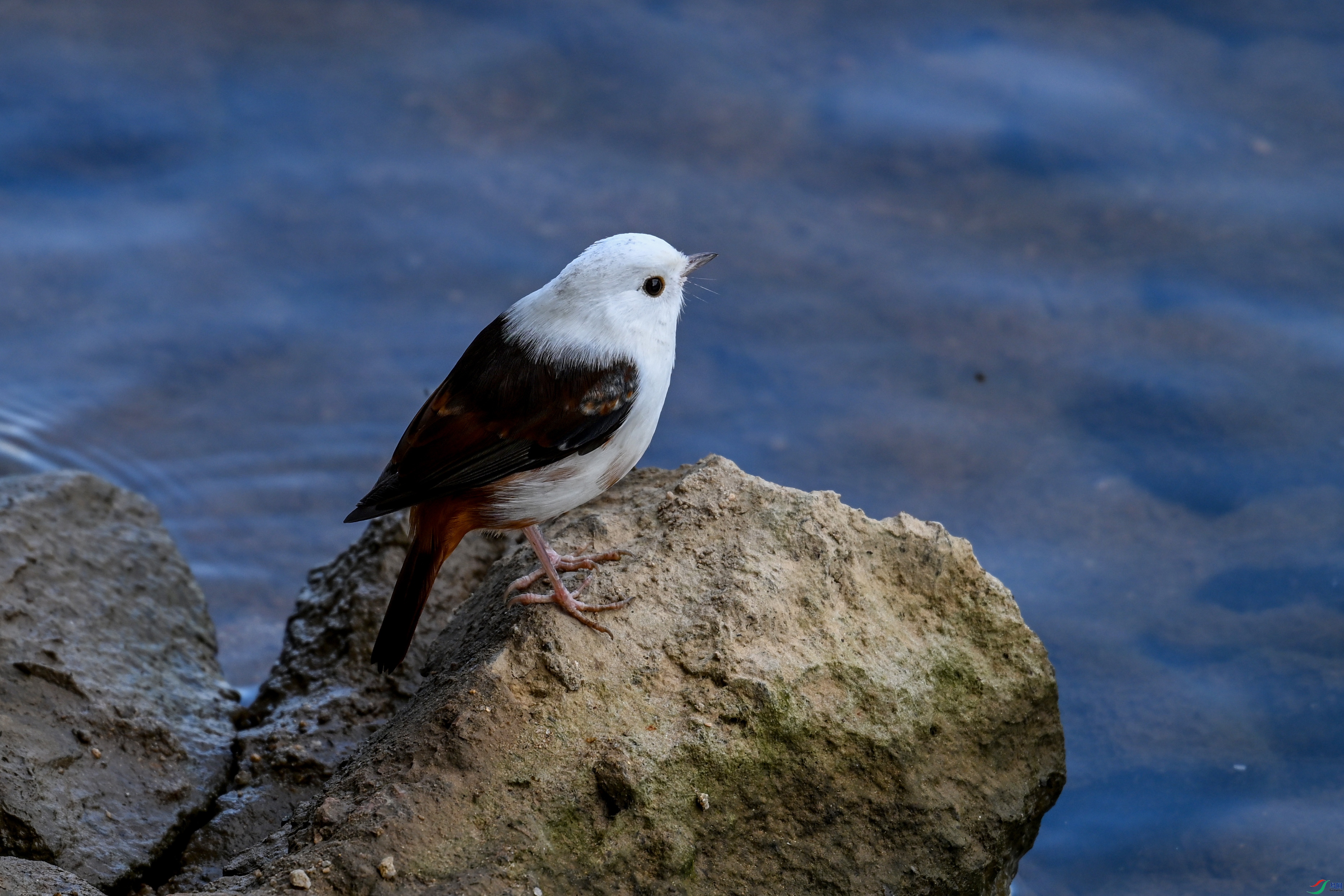 DSC_2874.JPG