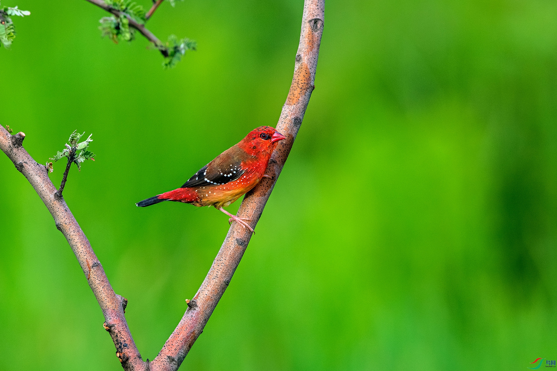 _AUU6819 ��÷��ȸ(25.7.7).jpg