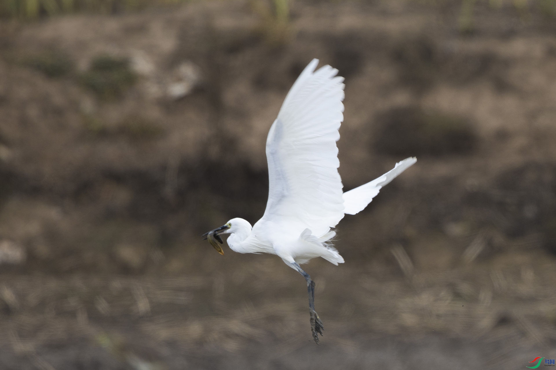����01