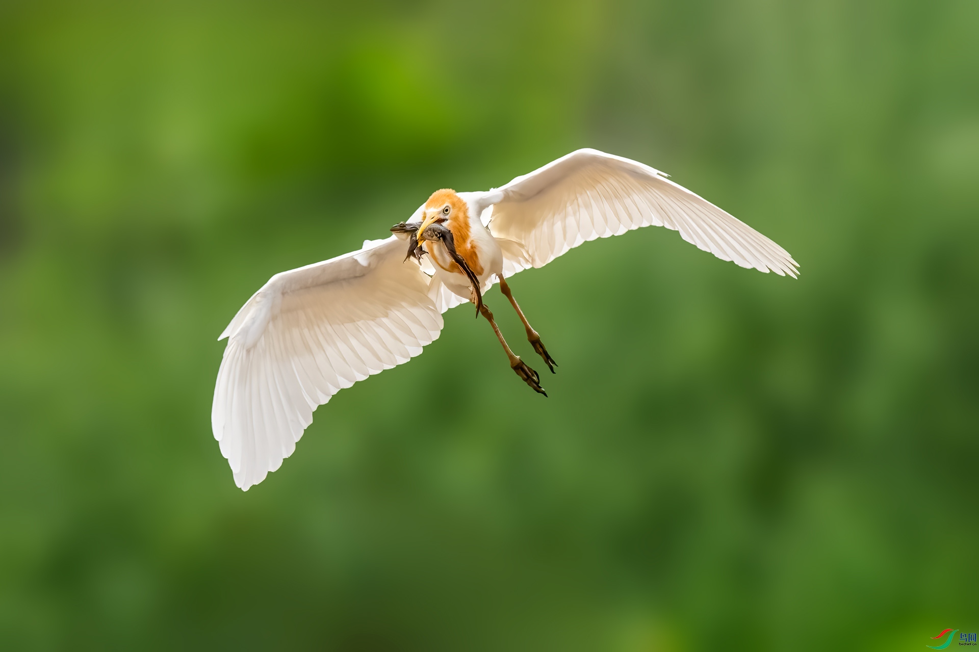DSC_7156.jpg