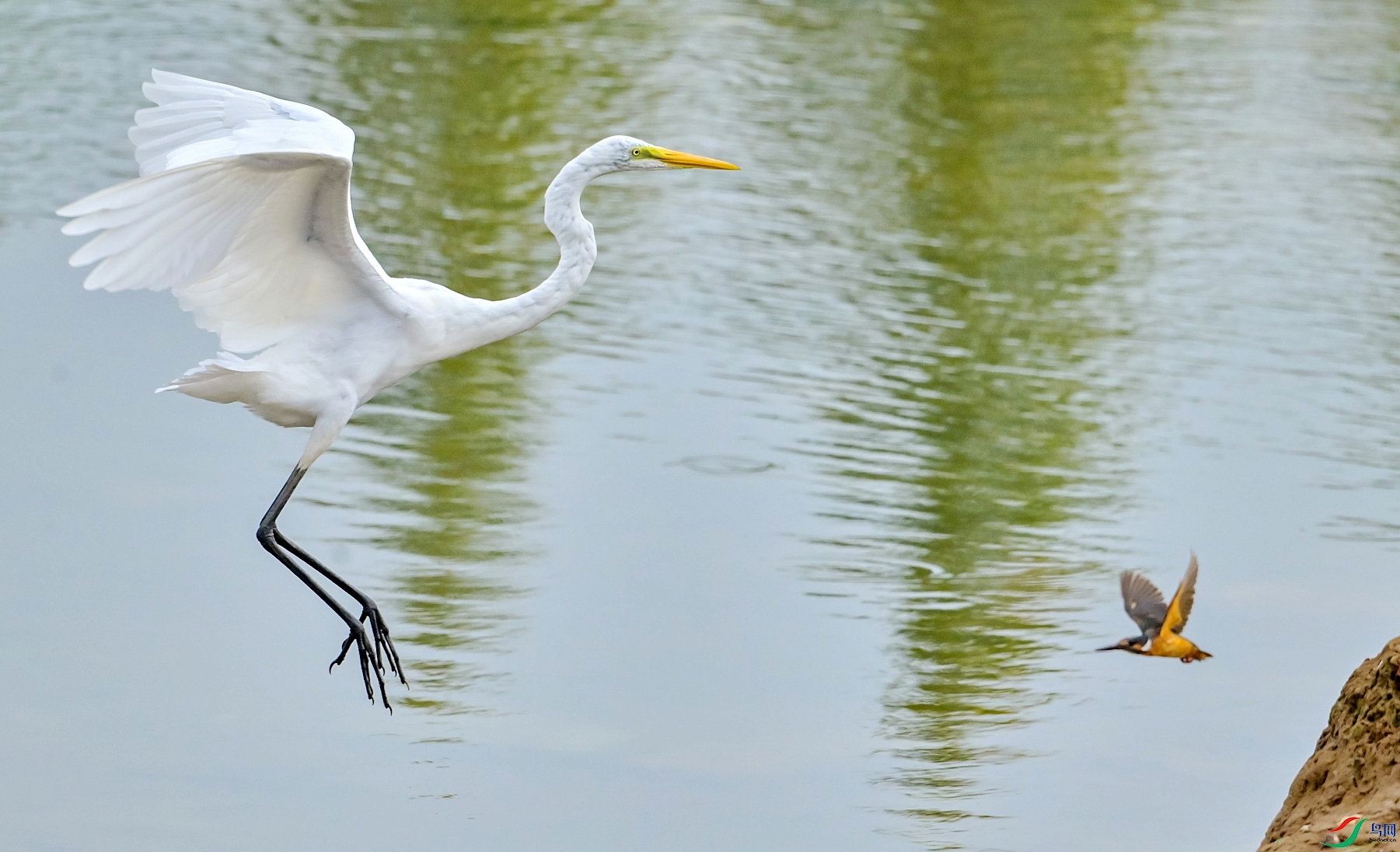 DSC_3134�Է�.jpg