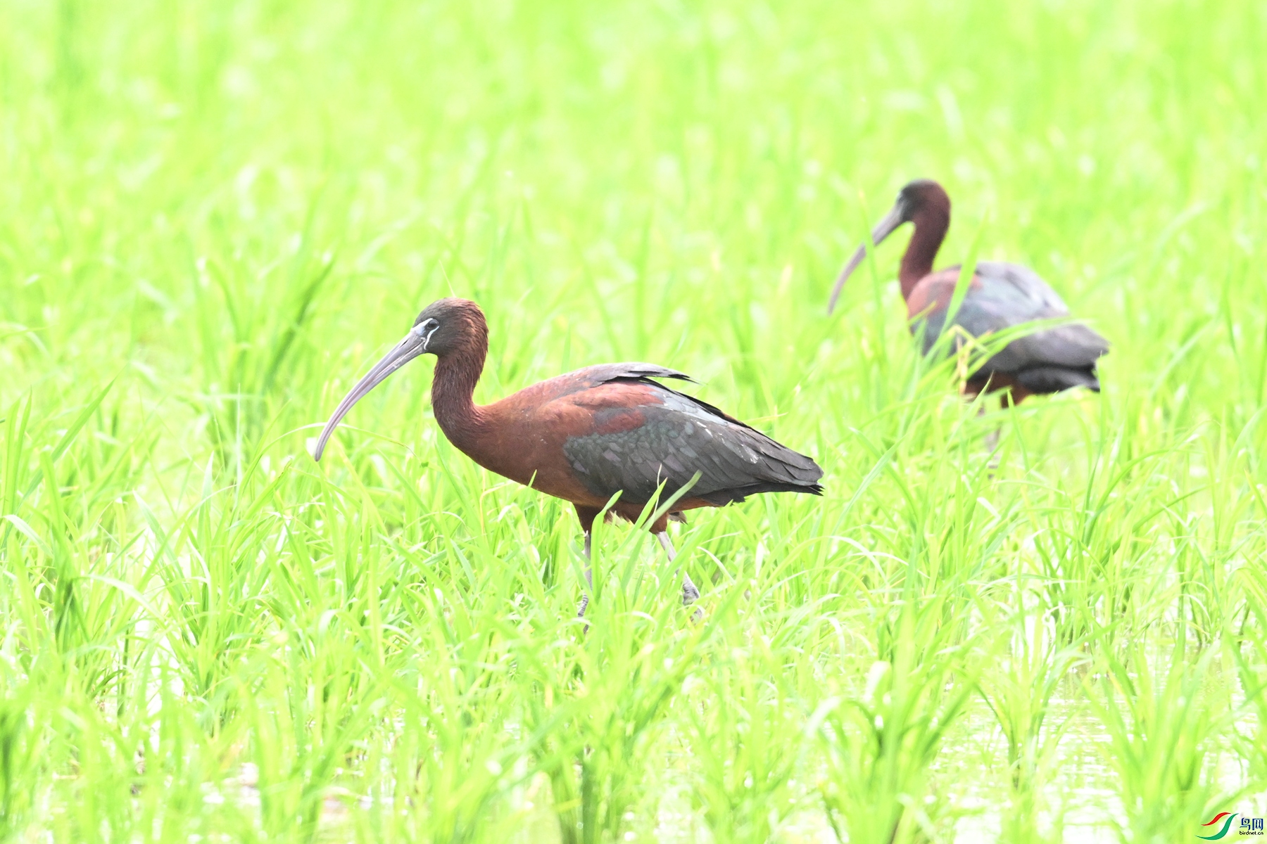 DSC_7660.JPG