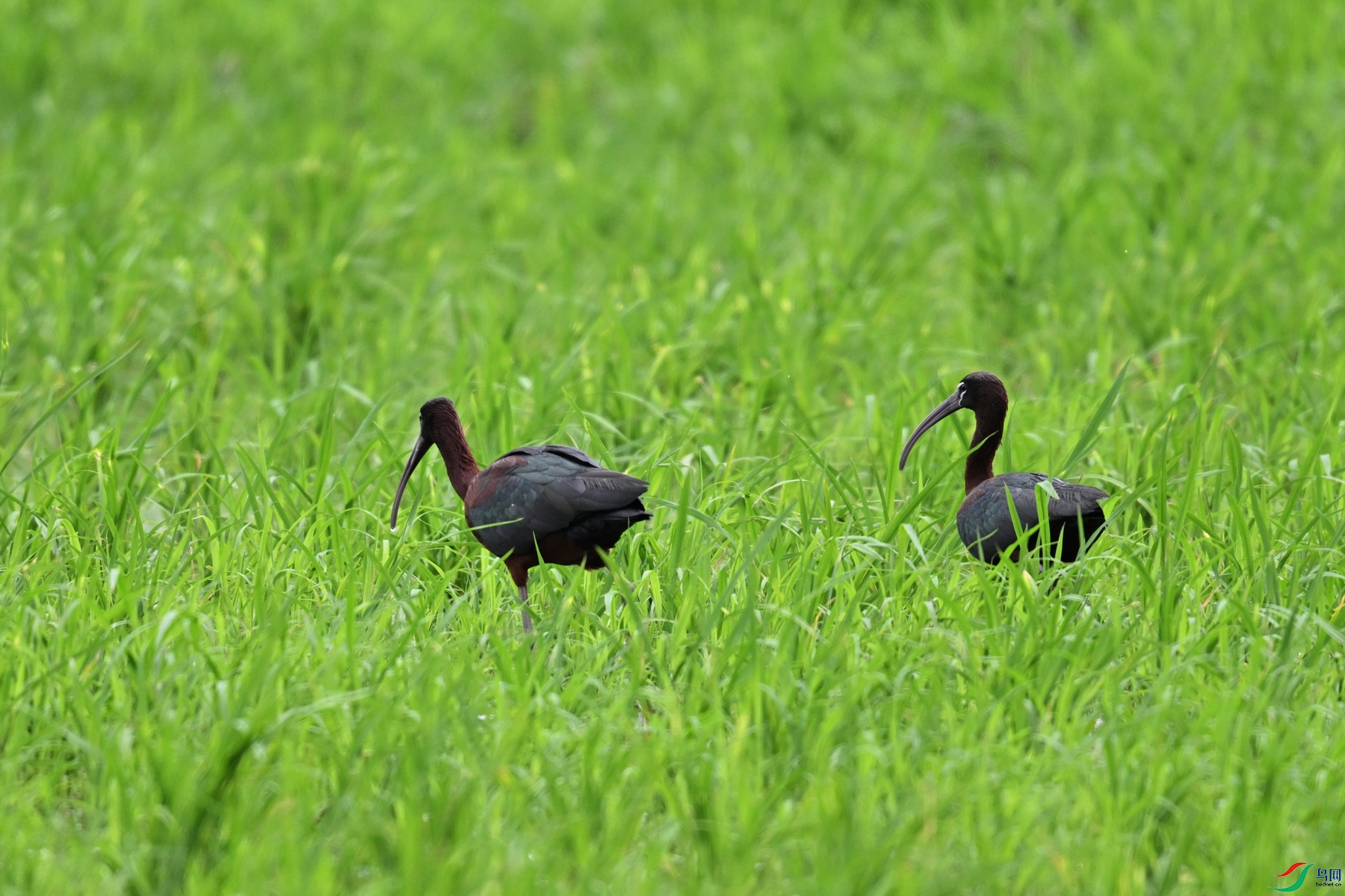 DSC_7675.JPG