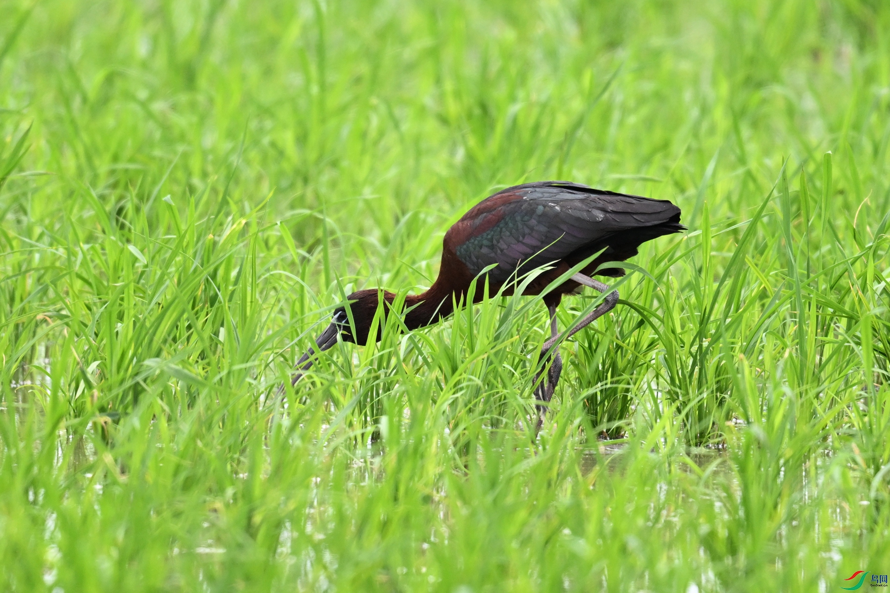 DSC_7668.JPG