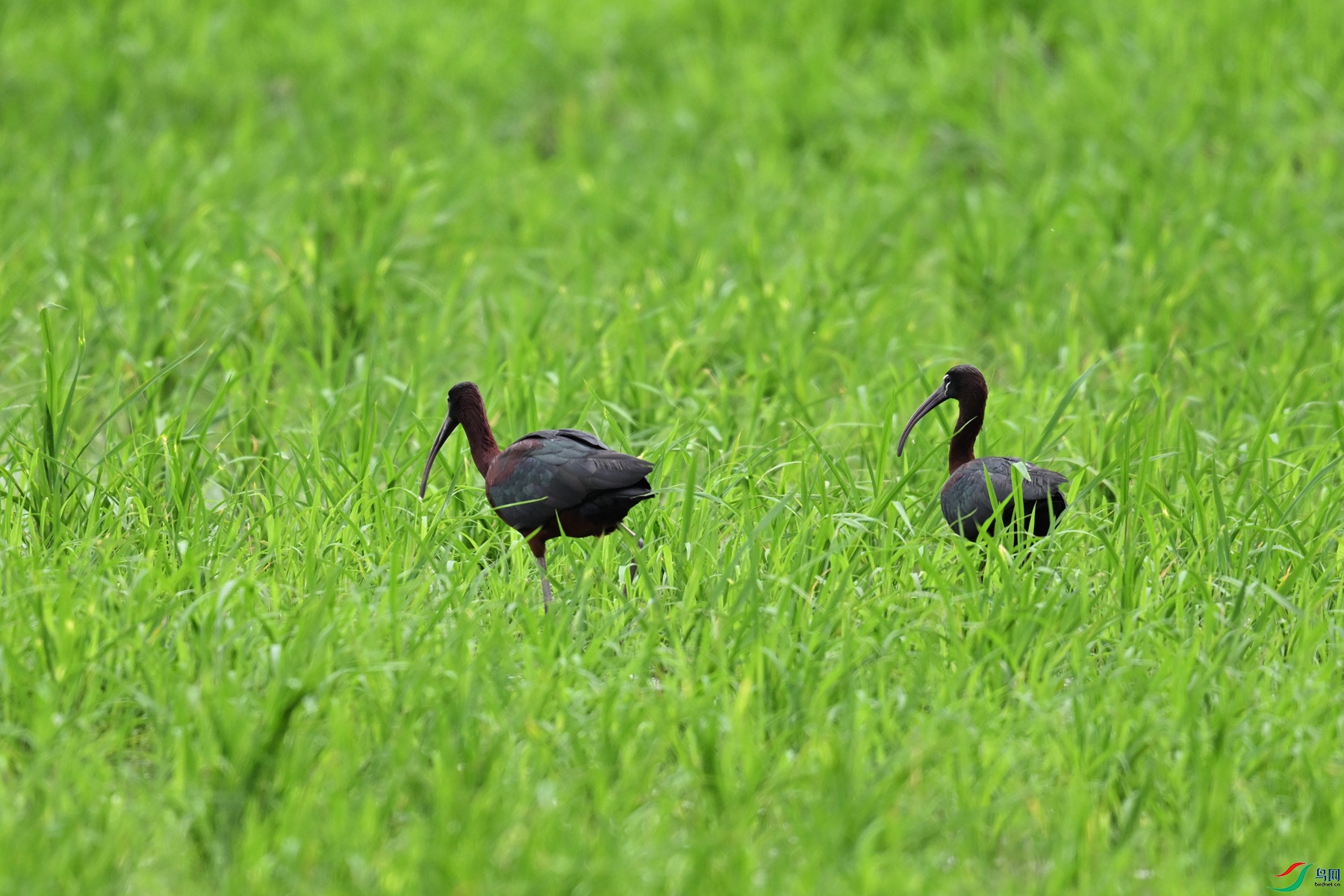 DSC_7676.JPG