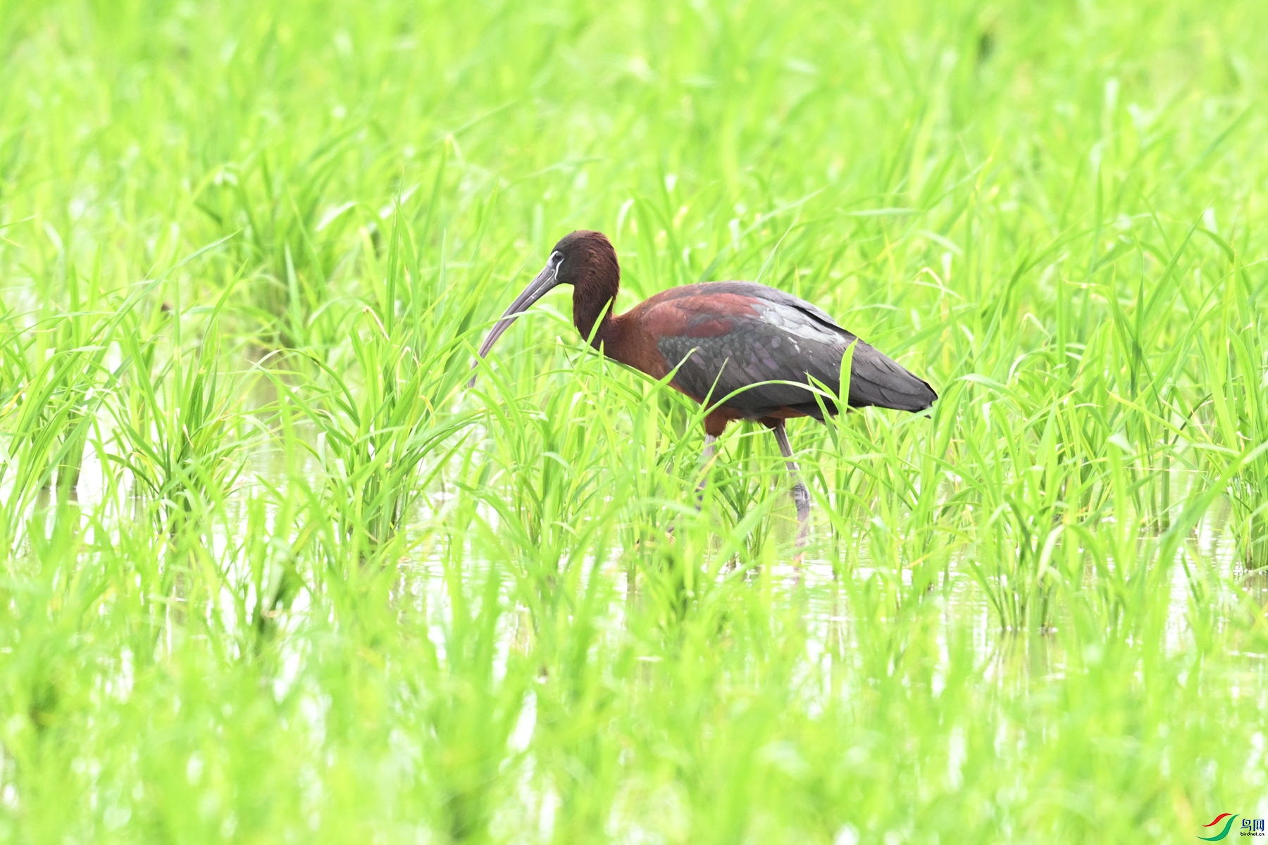 DSC_7688.JPG