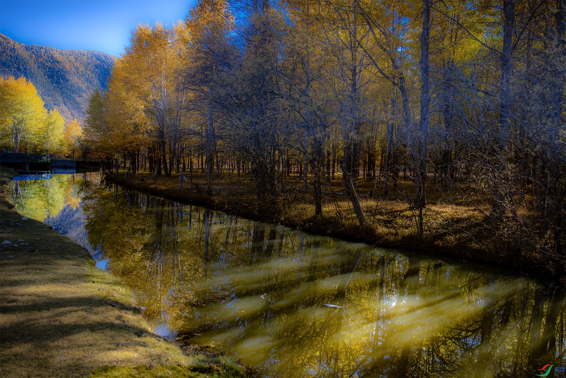 A15I9657 -1����.jpg