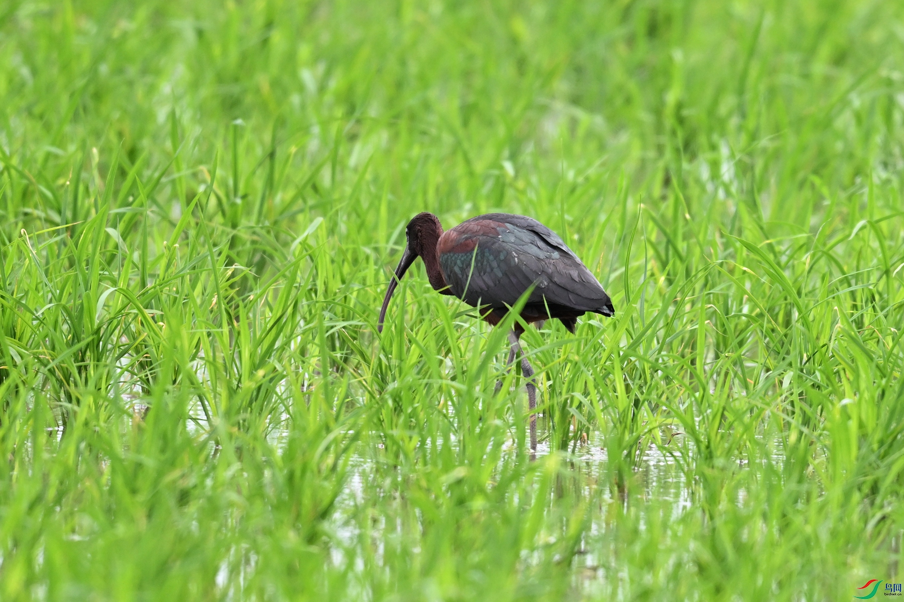 DSC_7682.JPG