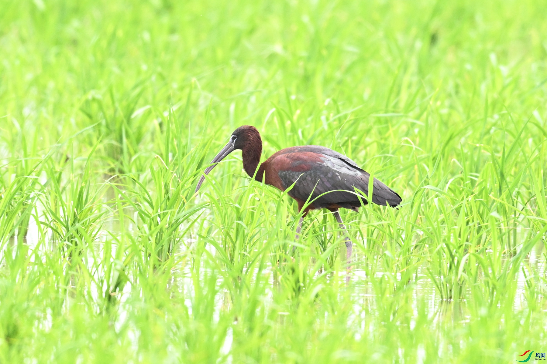 DSC_7689.JPG