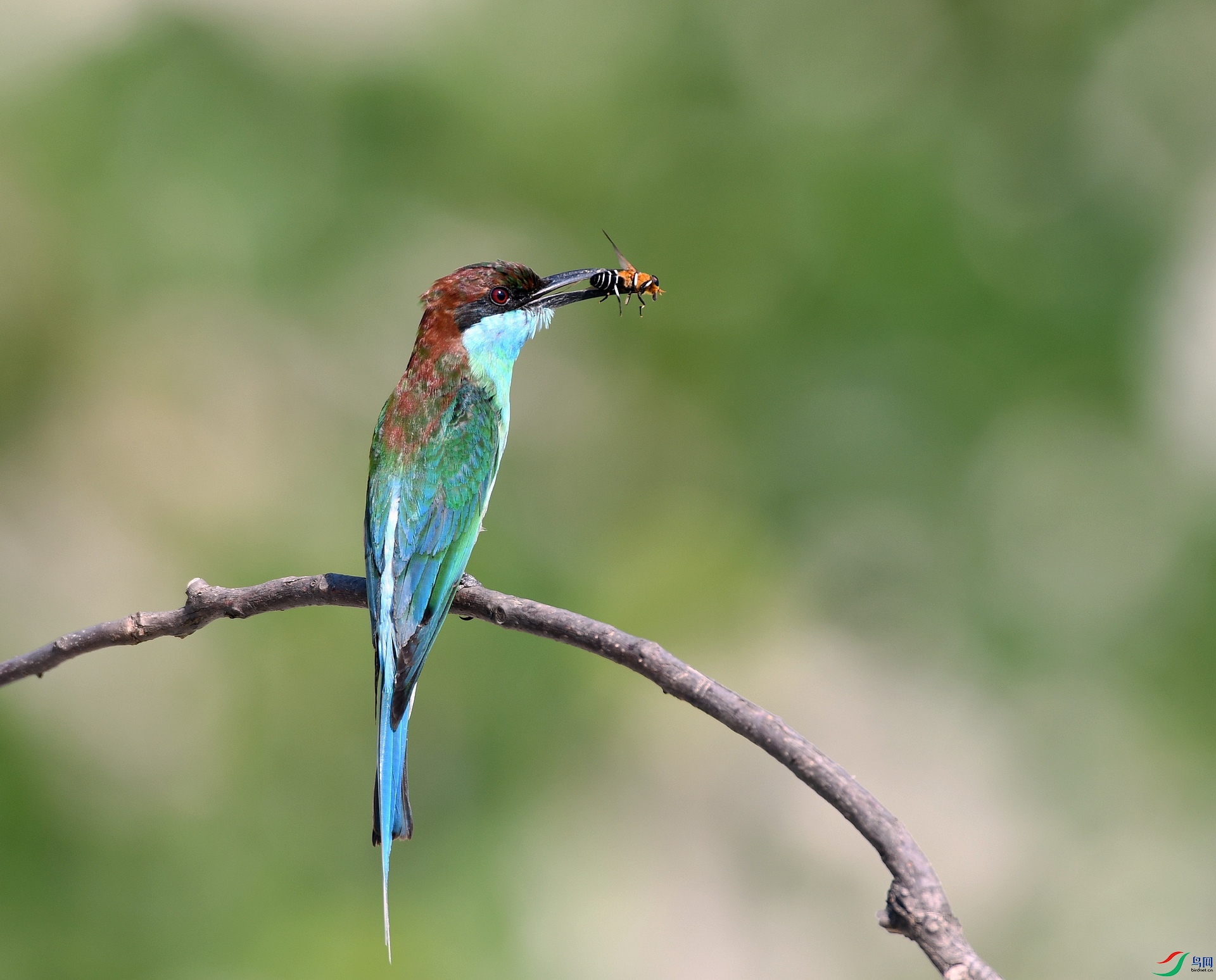 DSC_4932.jpg